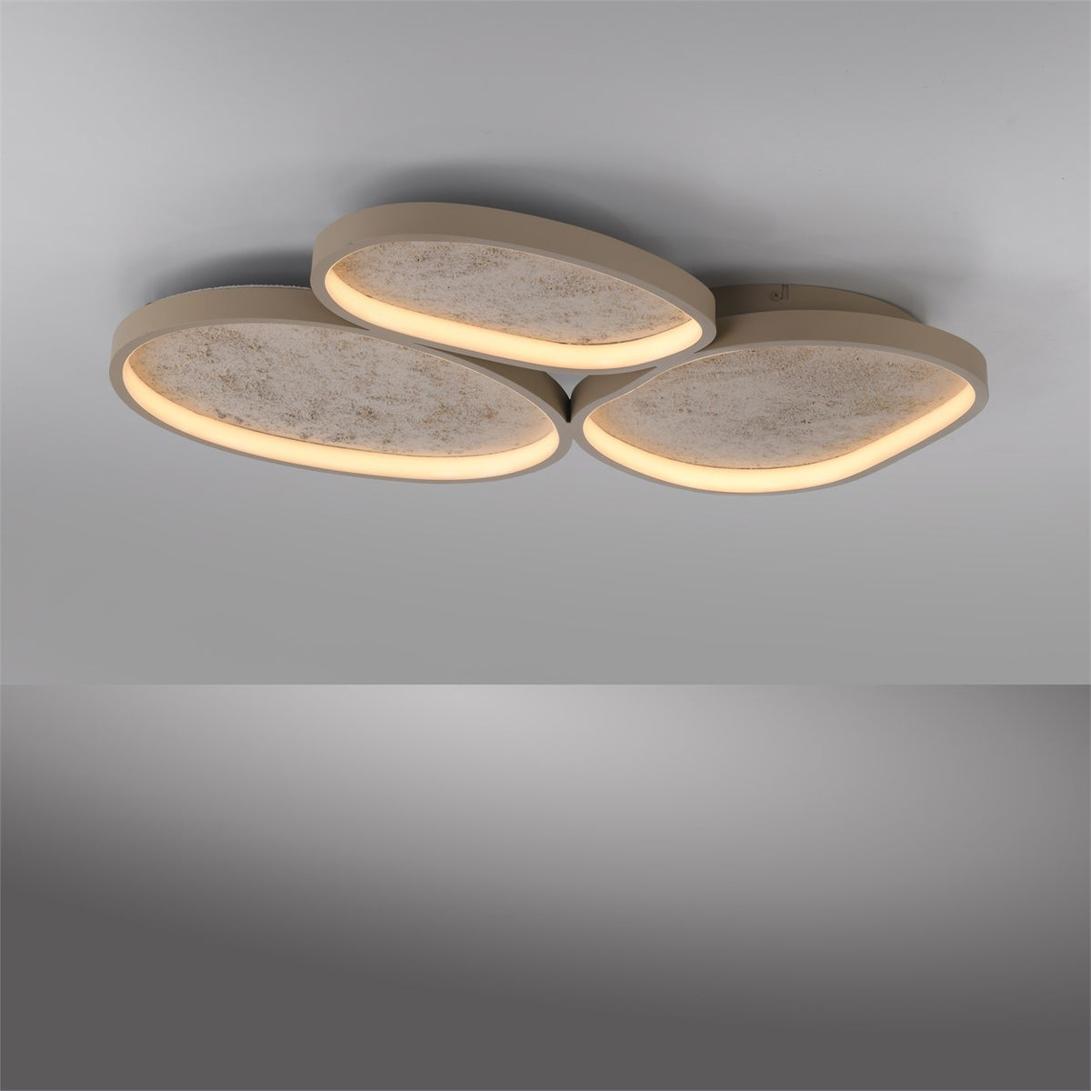 41750596 01 - Image