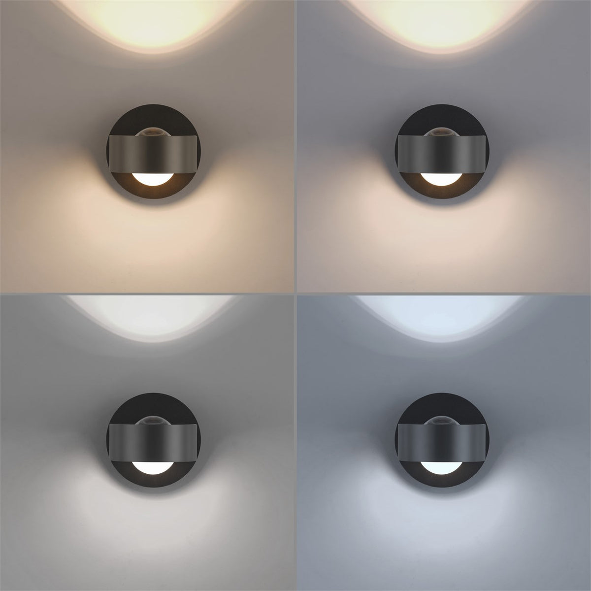 41750601 03 - Image