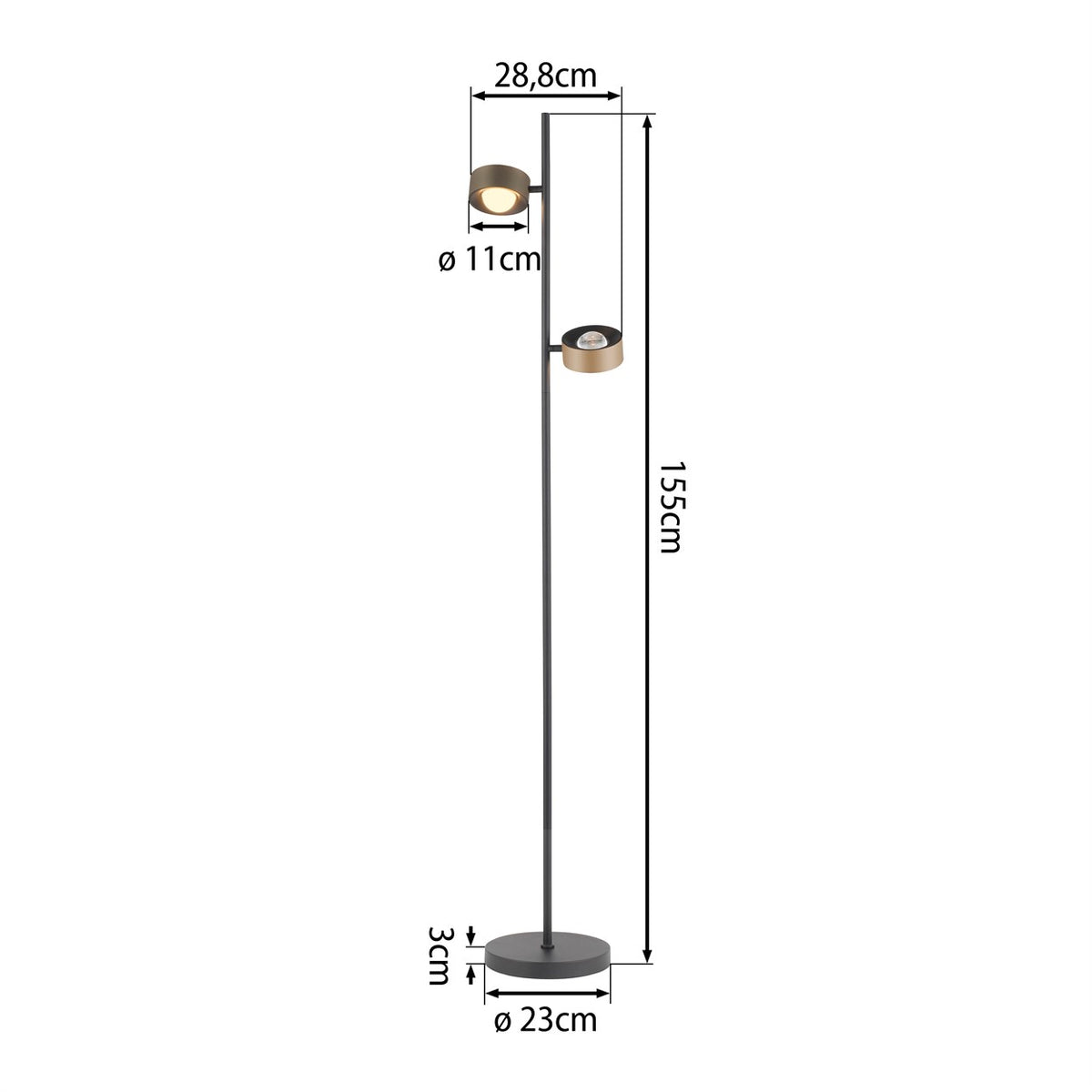 41750601 05 - Image