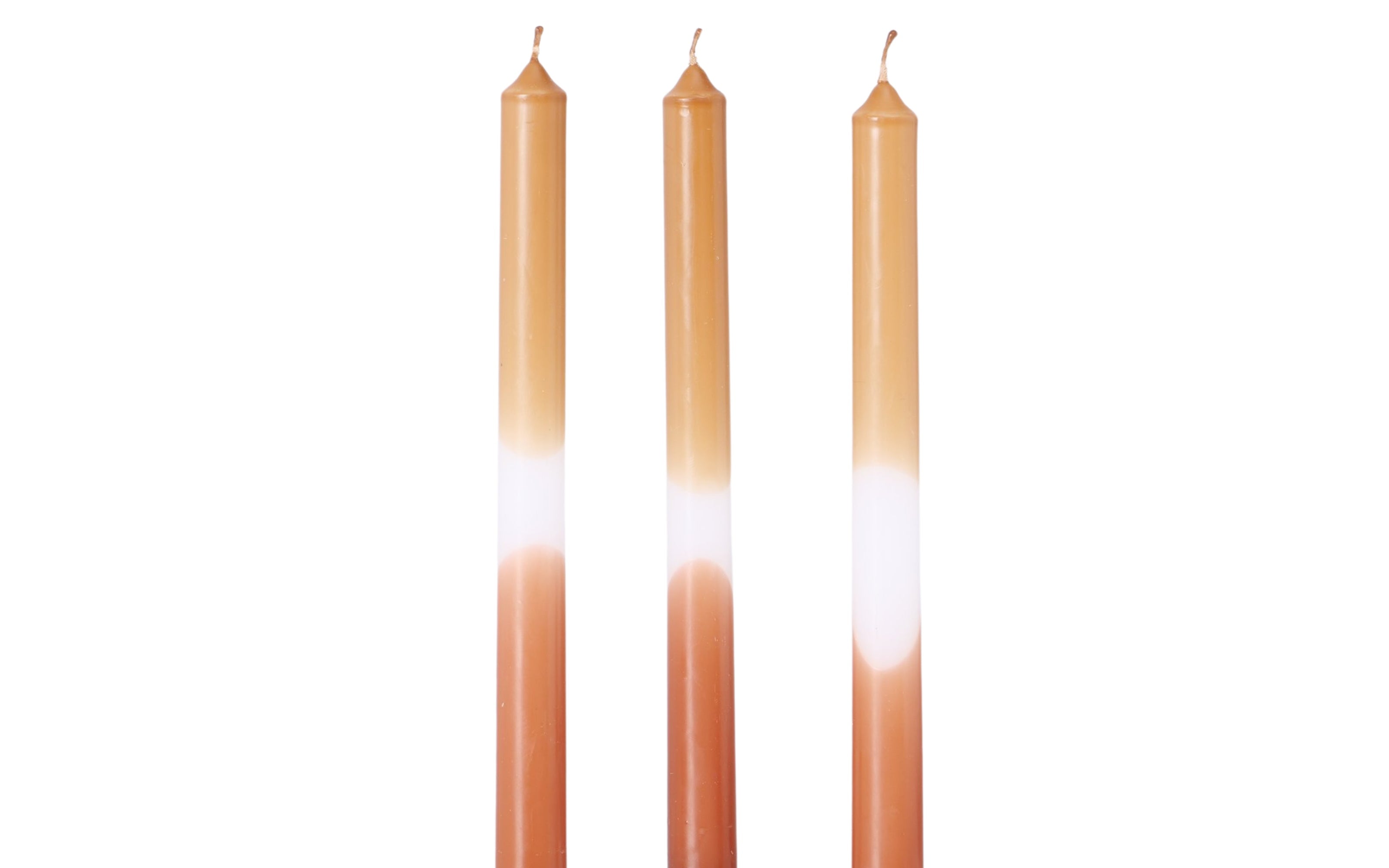50204871 01 - Image