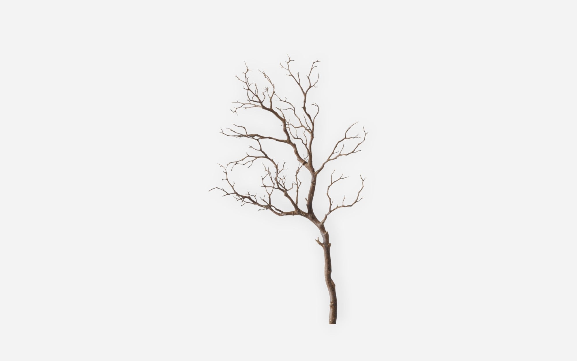 50205047 01 - Image