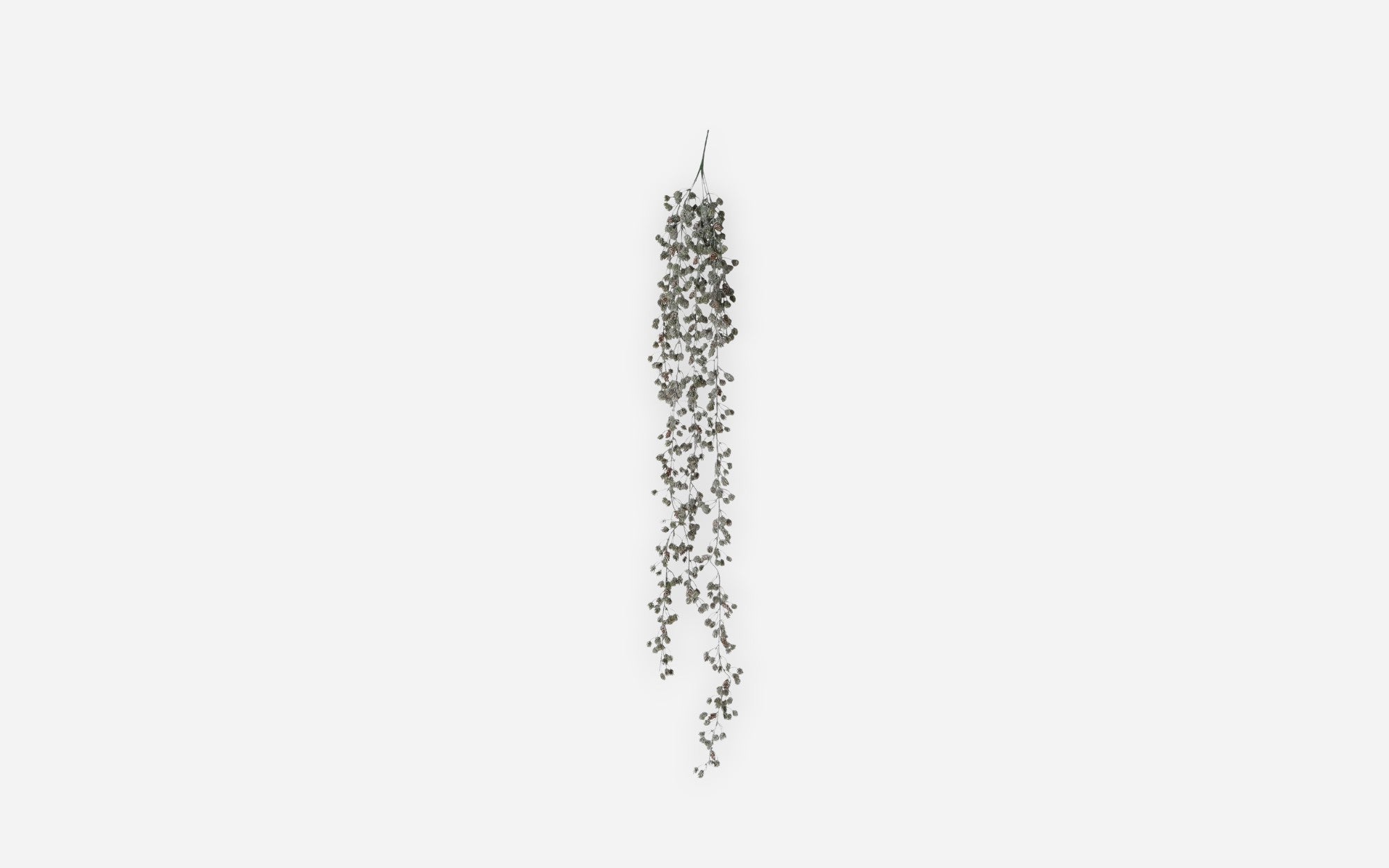 50205537 01 - Image