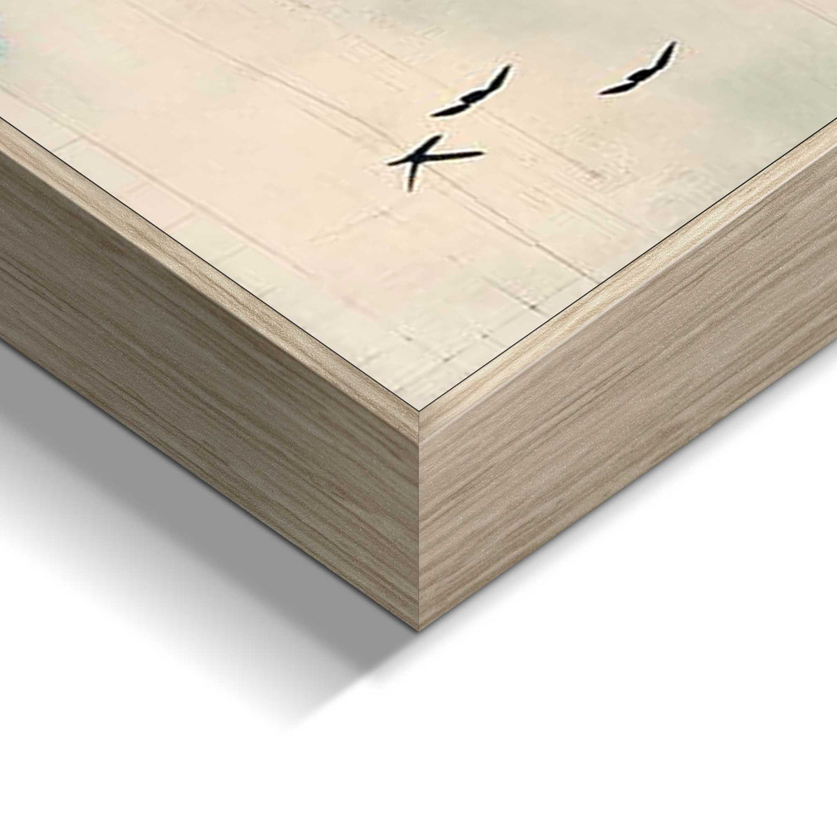 50400009 07 - Image