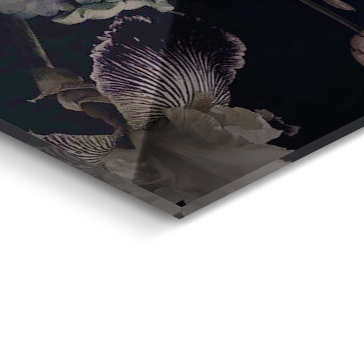 50400010 02 - Image