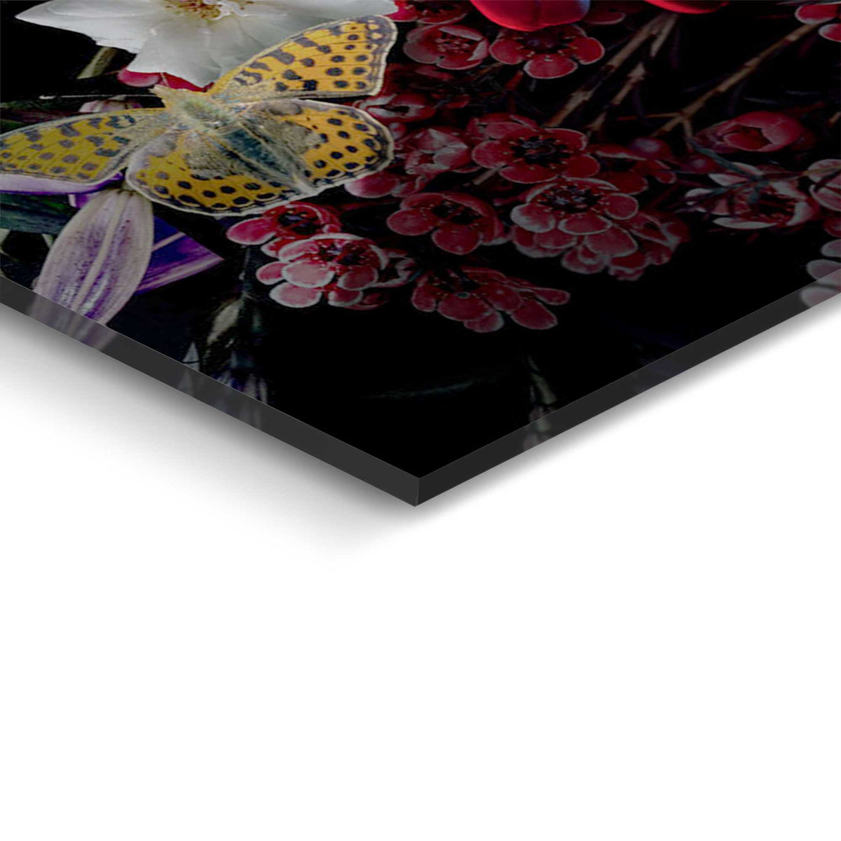 50400010 09 - Image