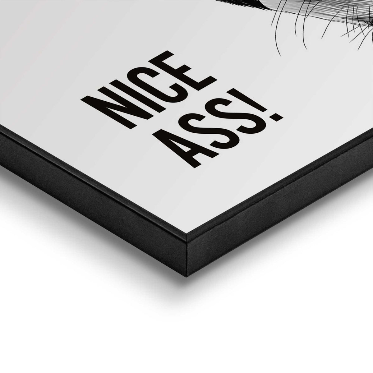 50400018 33 - Image