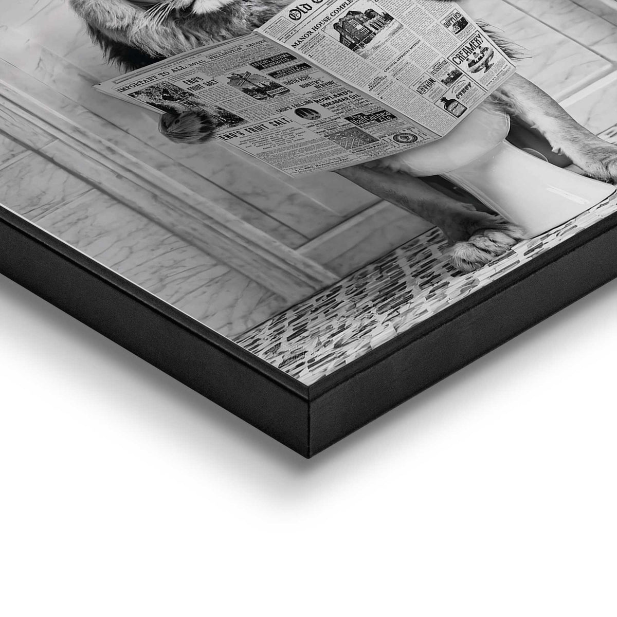 50400019 09 - Image