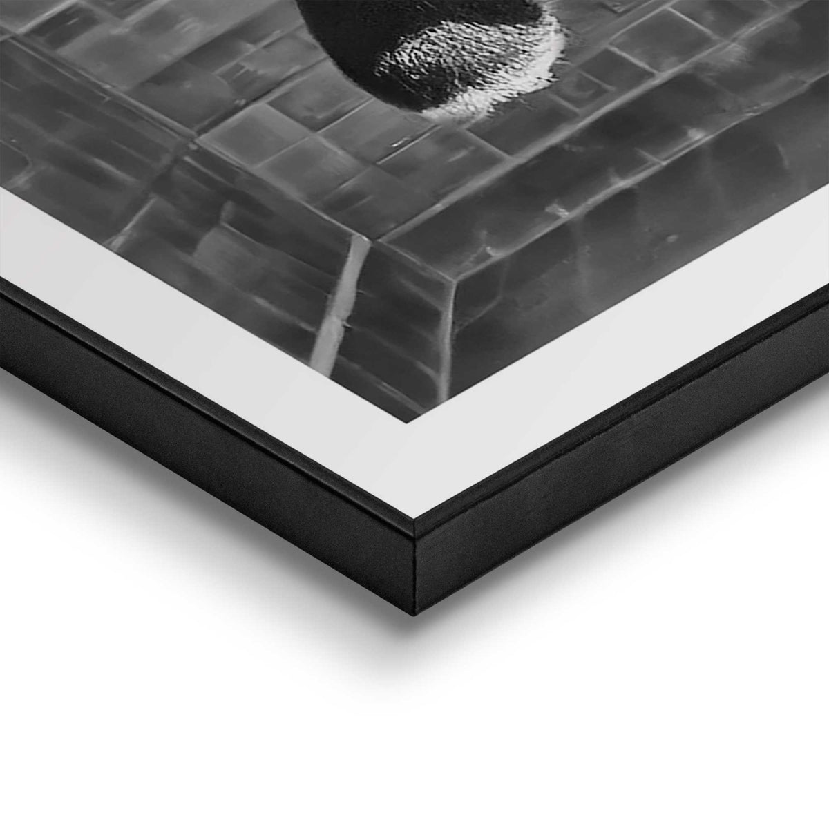 50400021 17 - Image