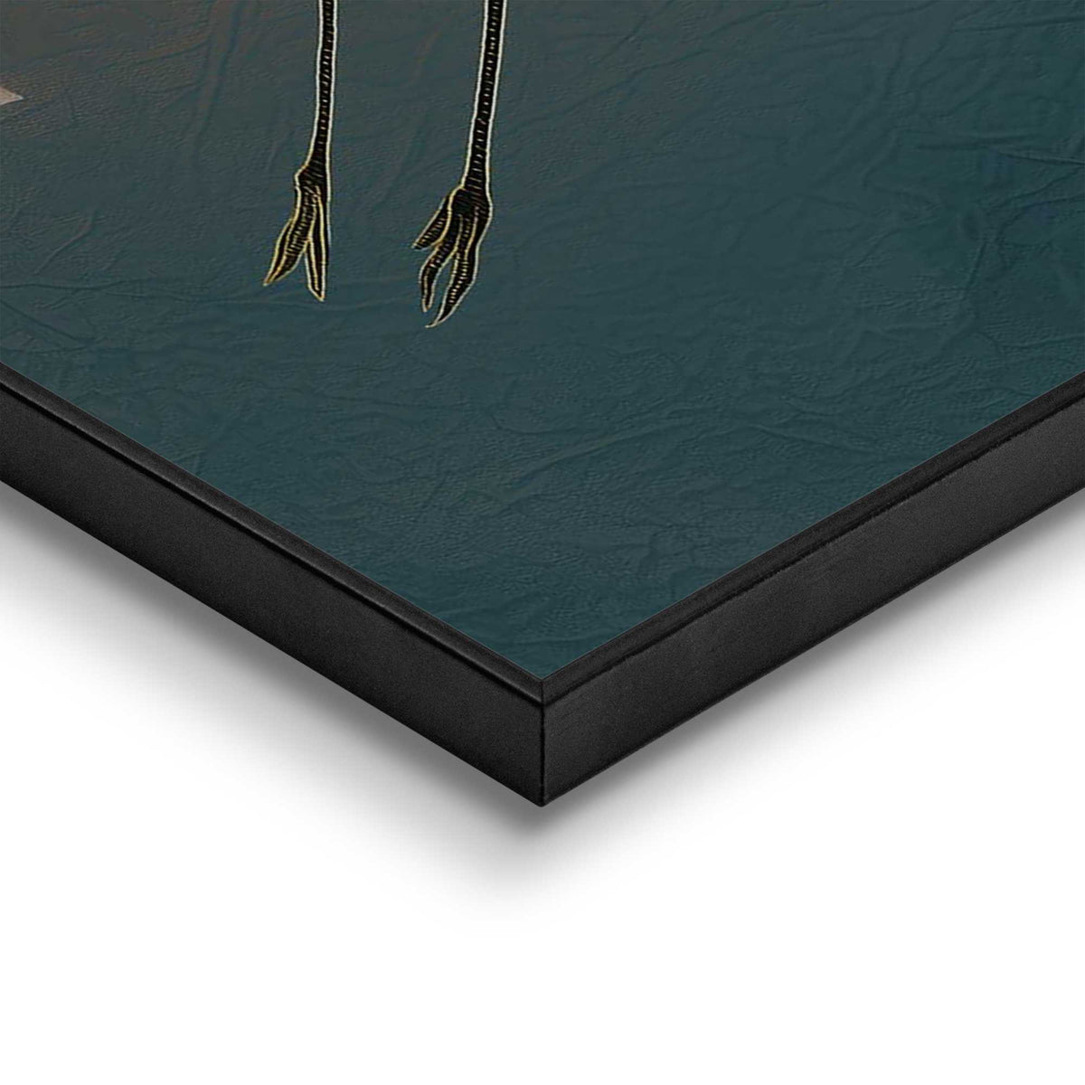 50400021 34 - Image