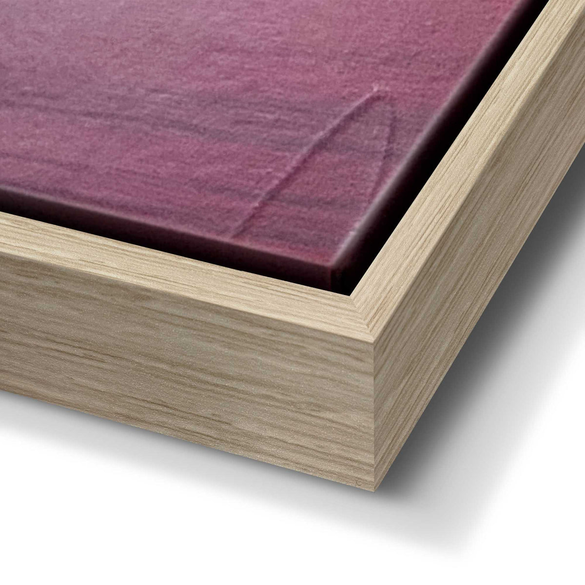 50400023 04 - Image