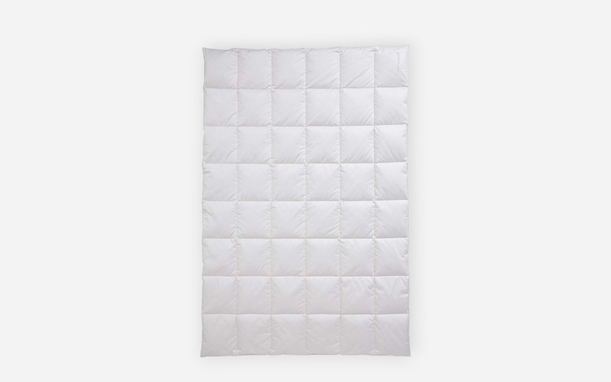 50770002 - Image