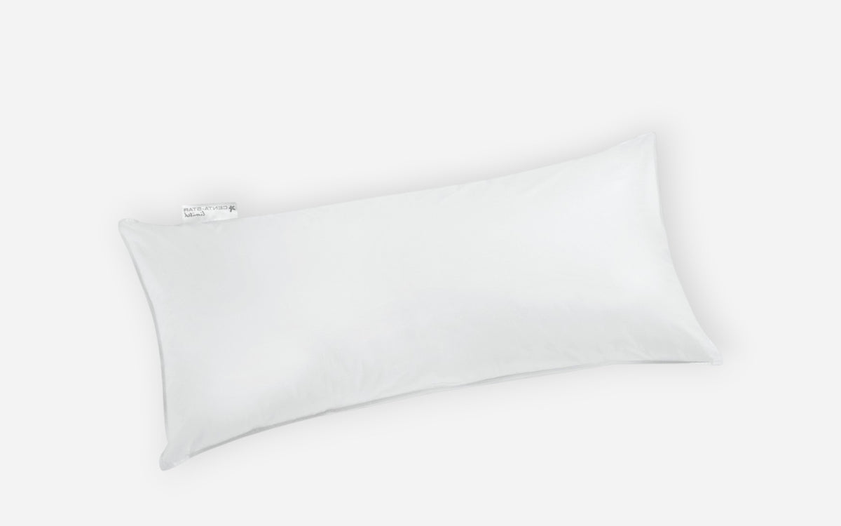 50770023 03 - Image