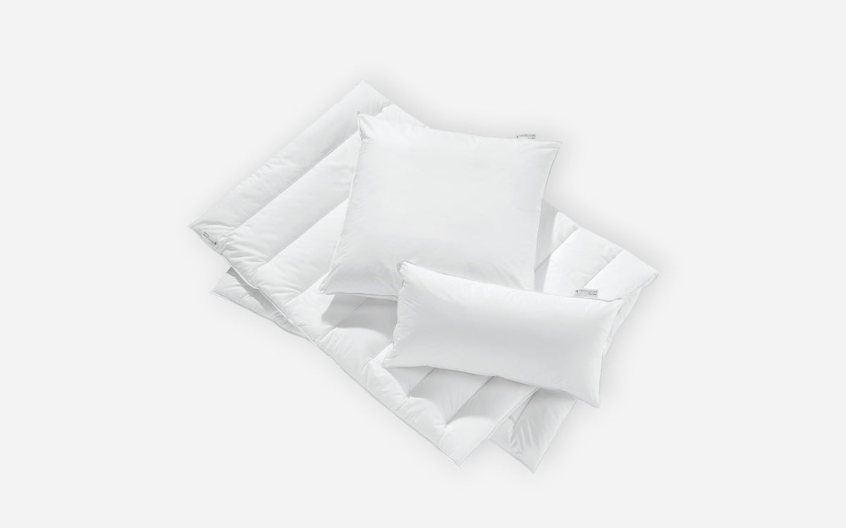 50770023 06 - Image