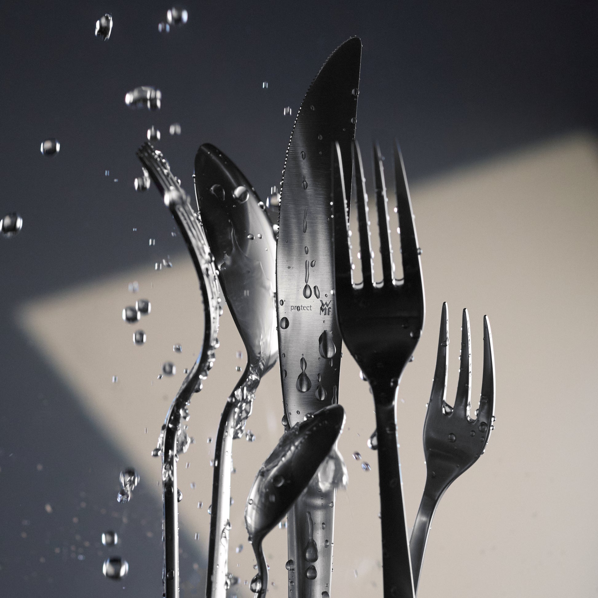 53470645 47 - Image
