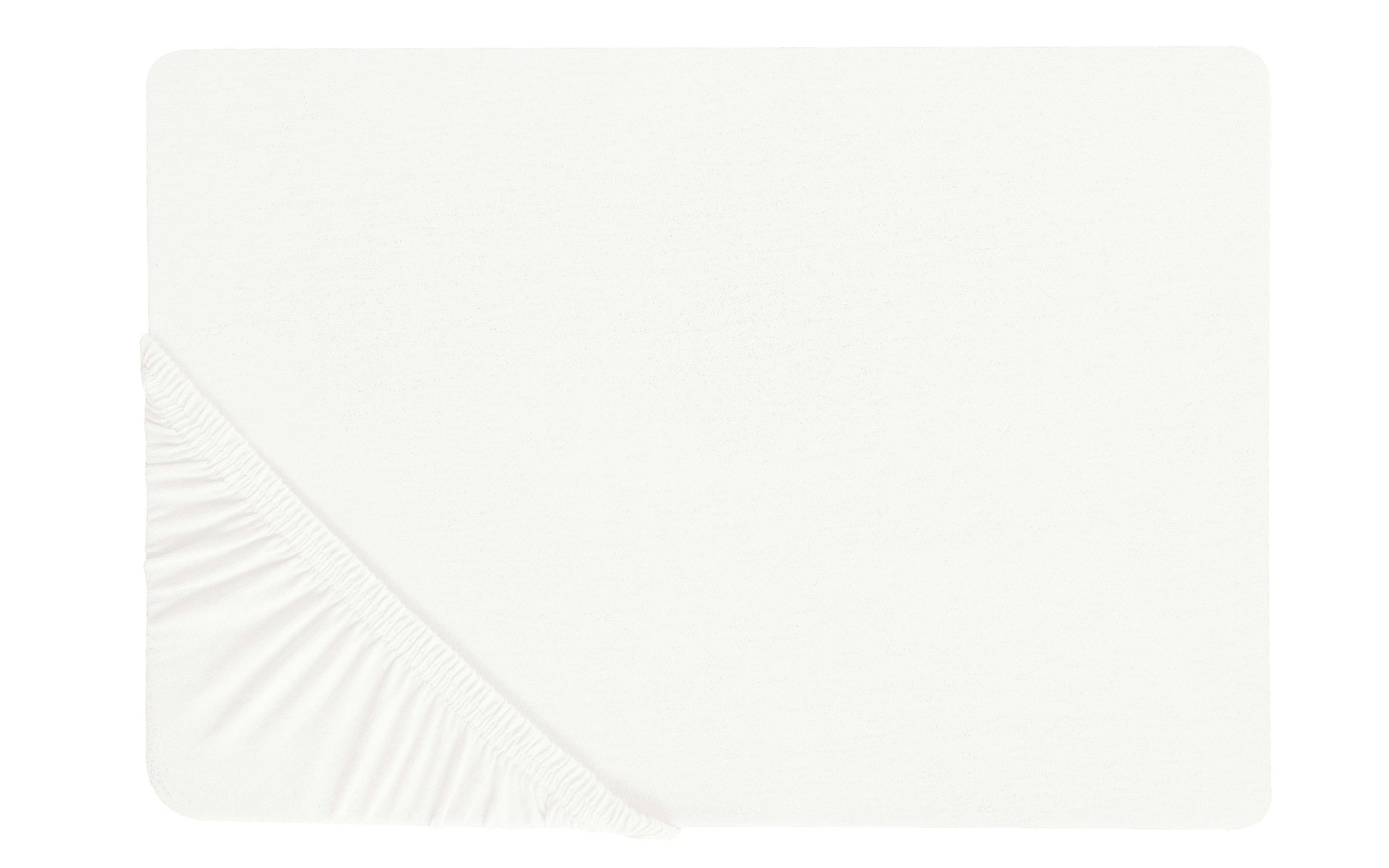 53700385 00 - Image