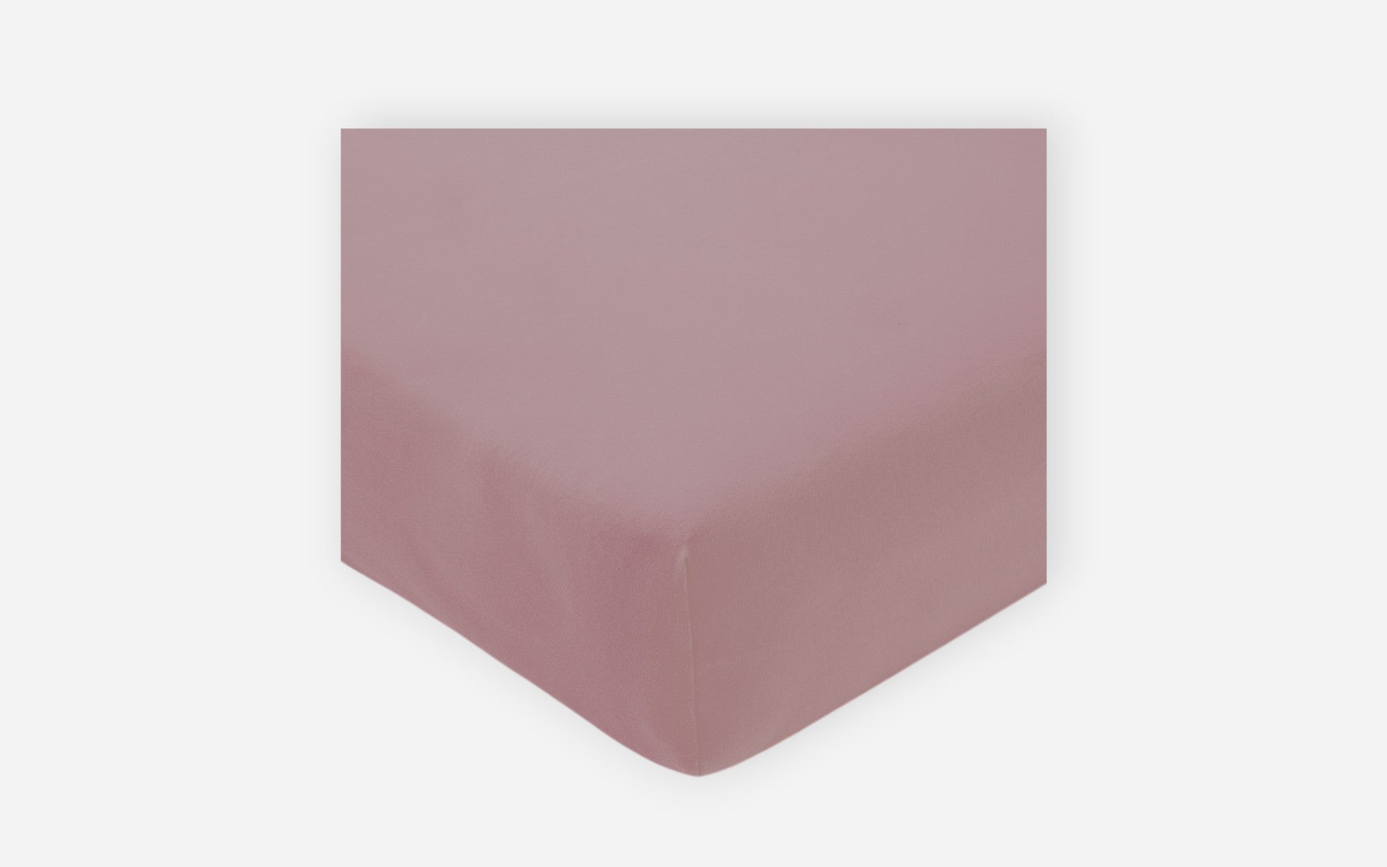 54160002 13 - Image