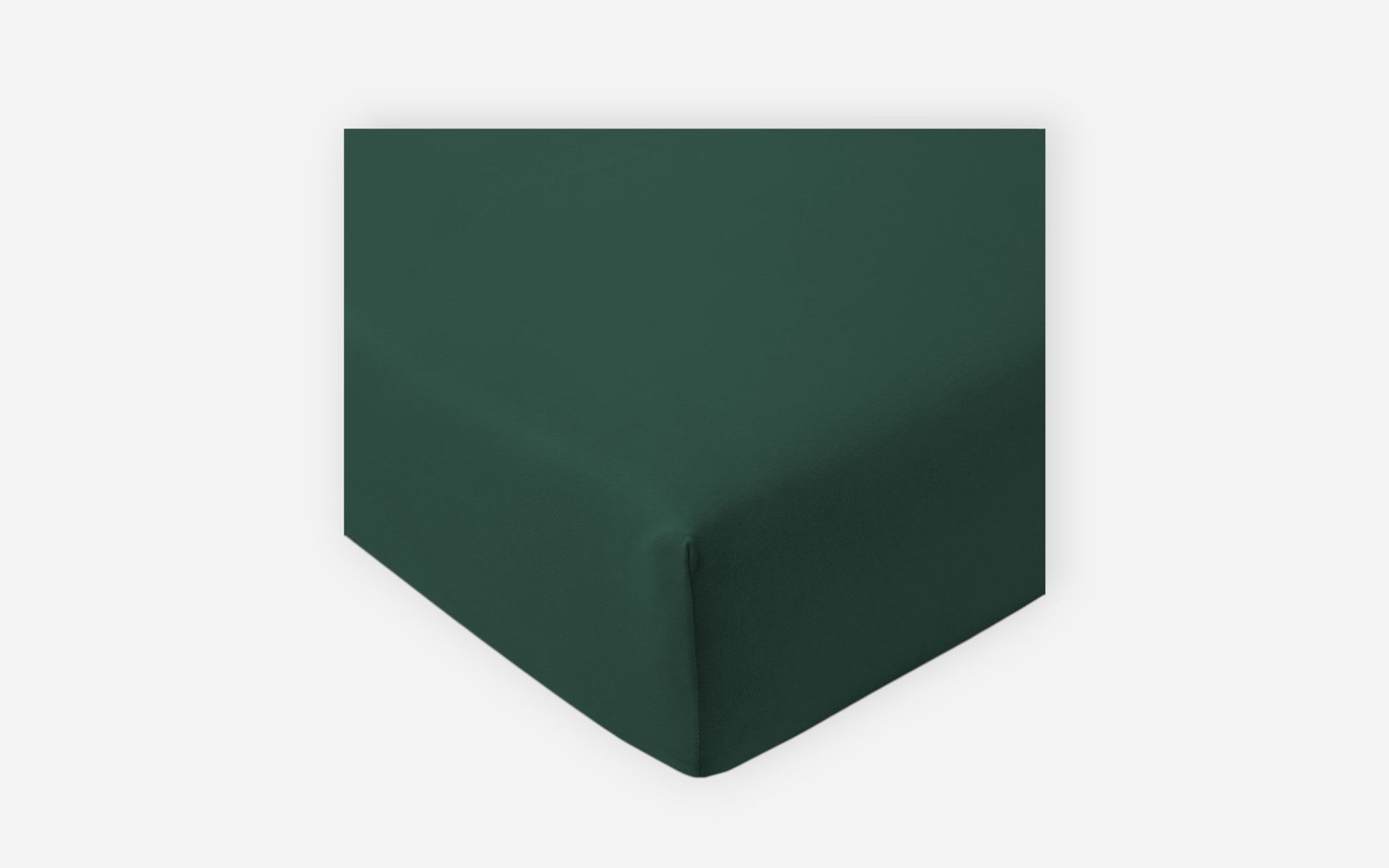 54160003 15 - Image