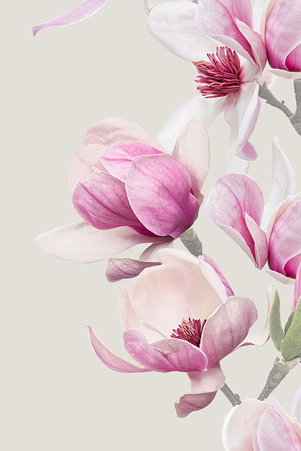 54510622 01 - Image