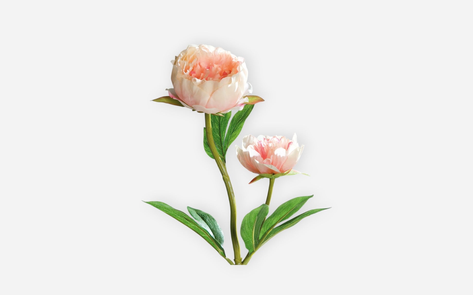 54680358 01 - Image