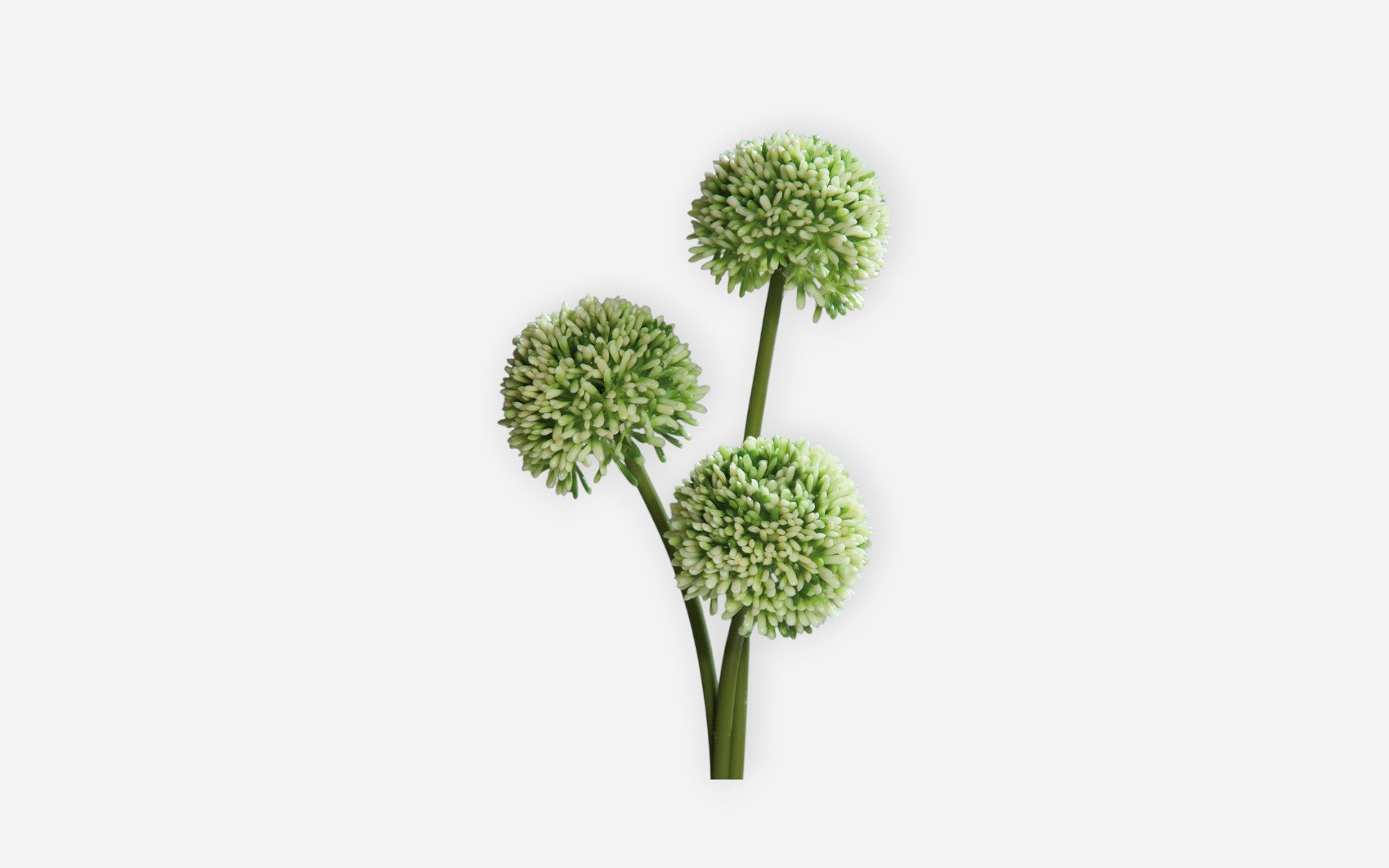 54680363 02 - Image