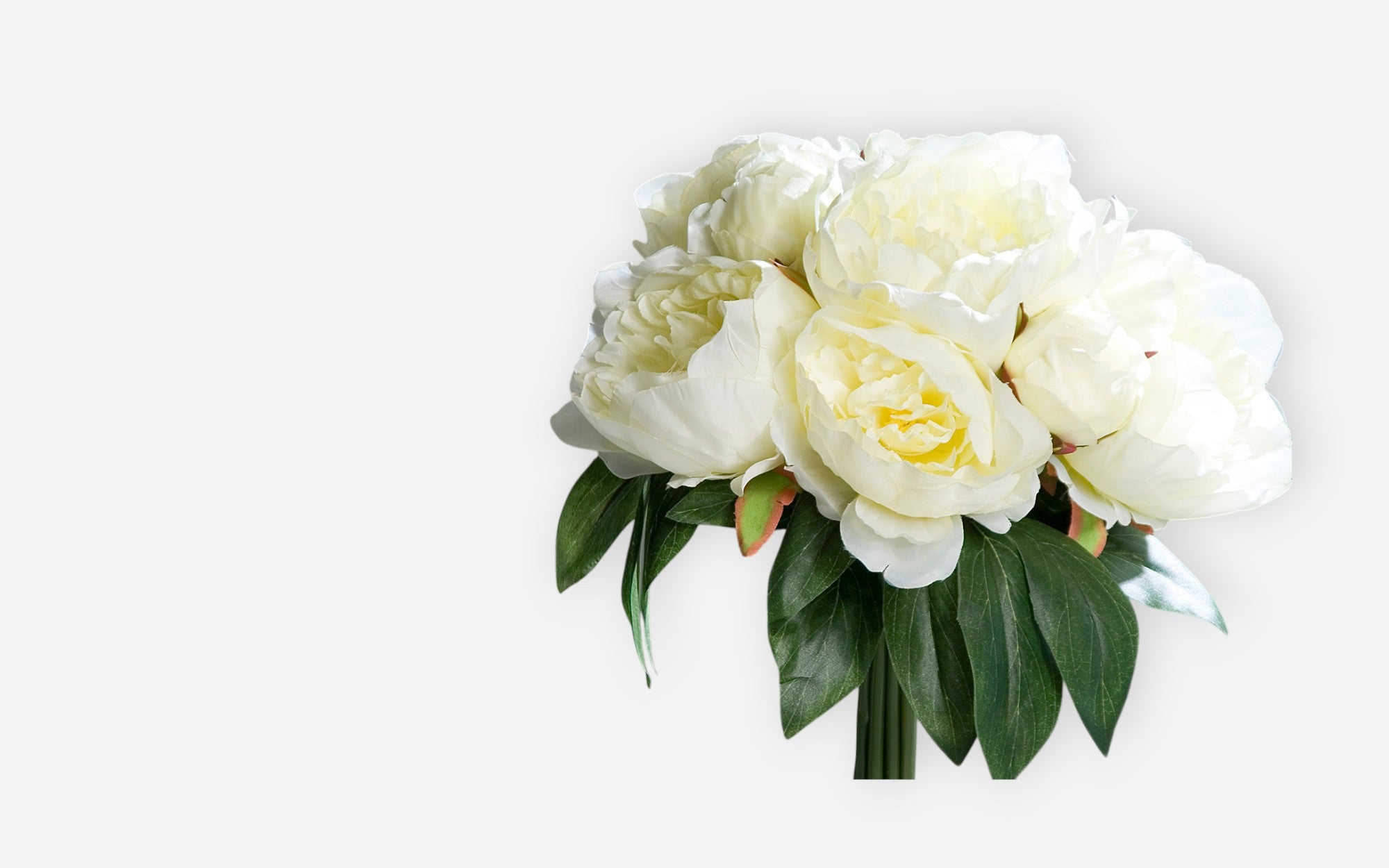 54680606 - Image