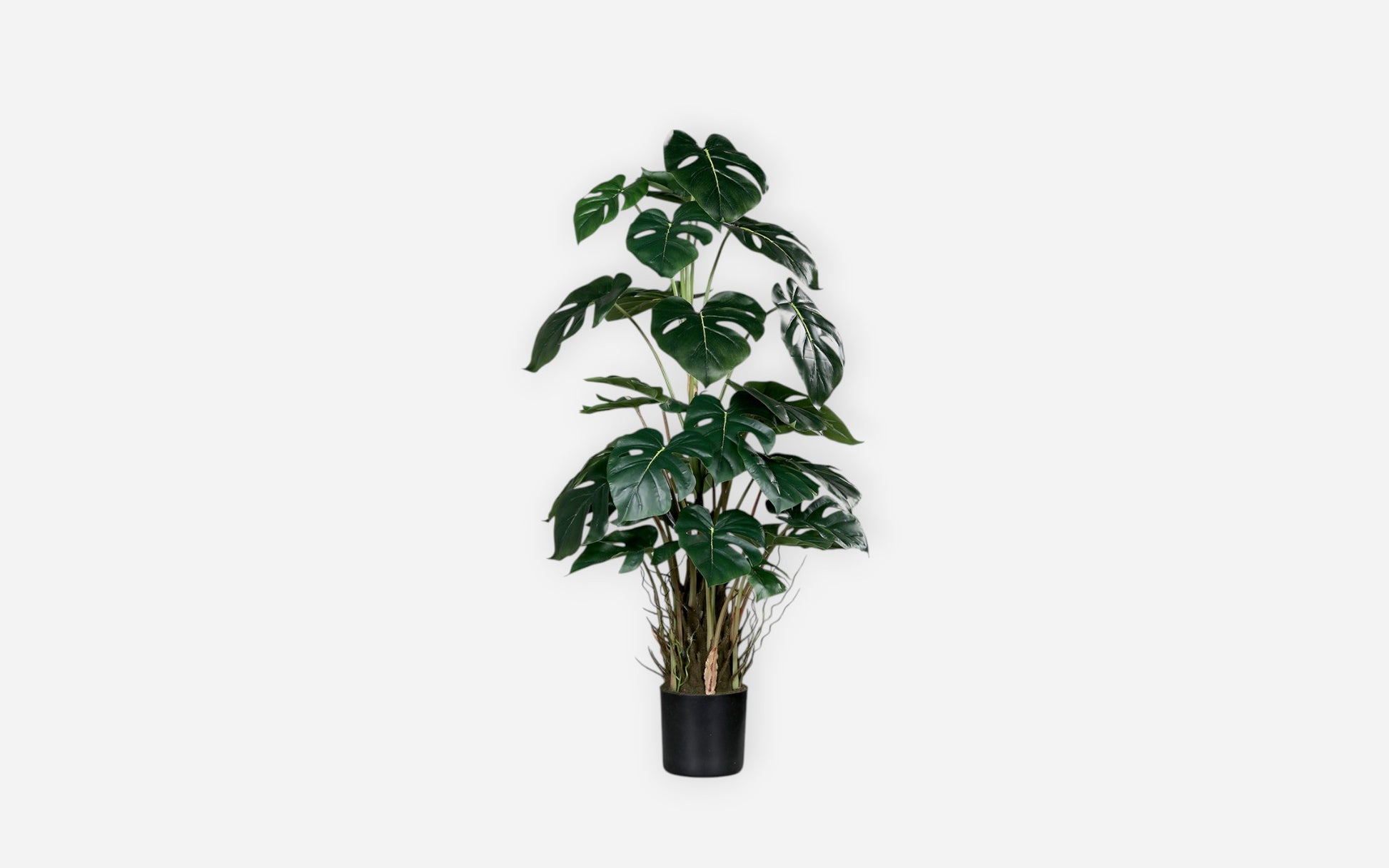 54680667 02 - Image