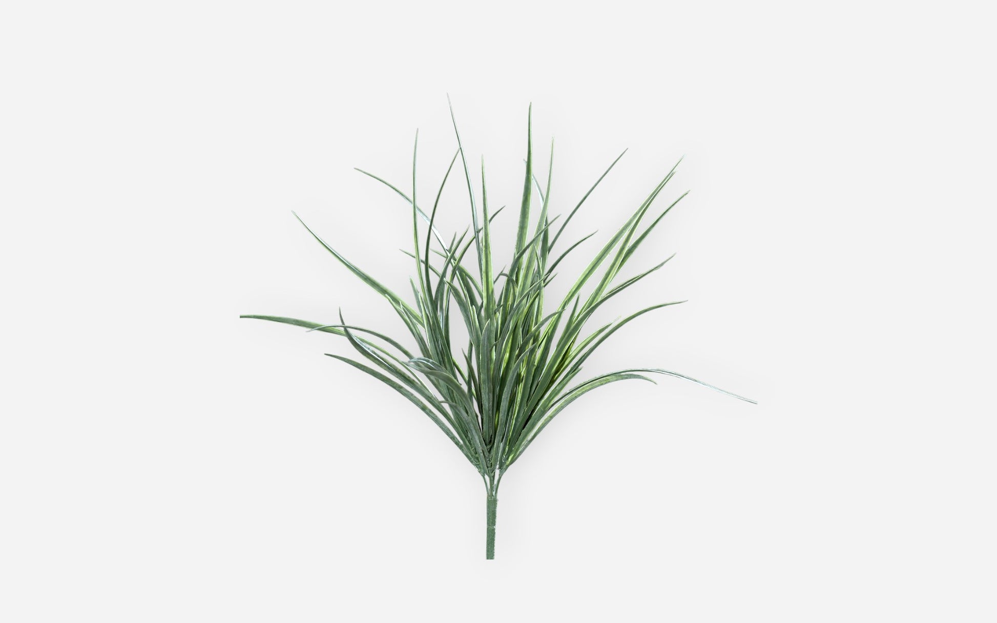 54680677 01 - Image