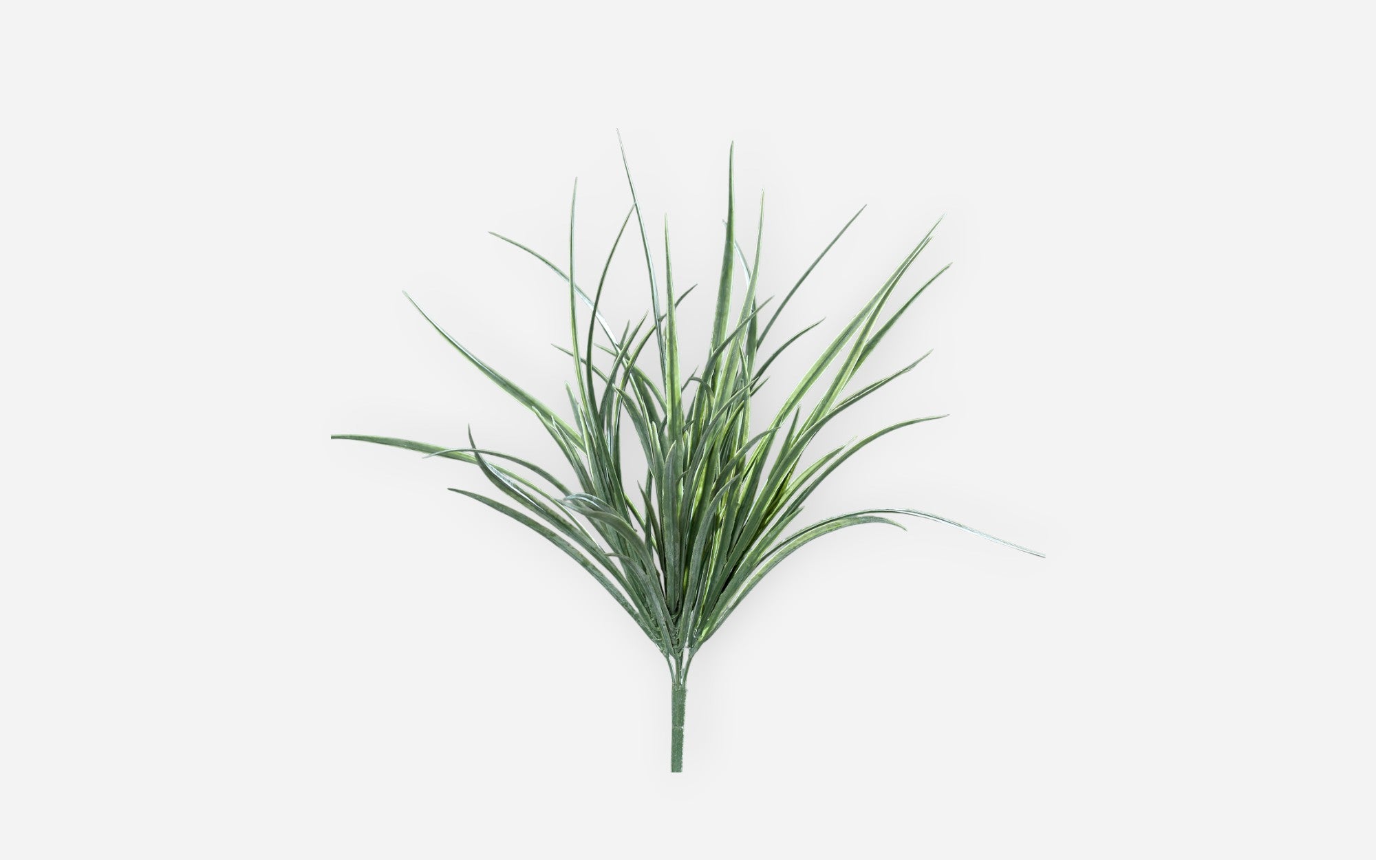 54680677 01 - Image
