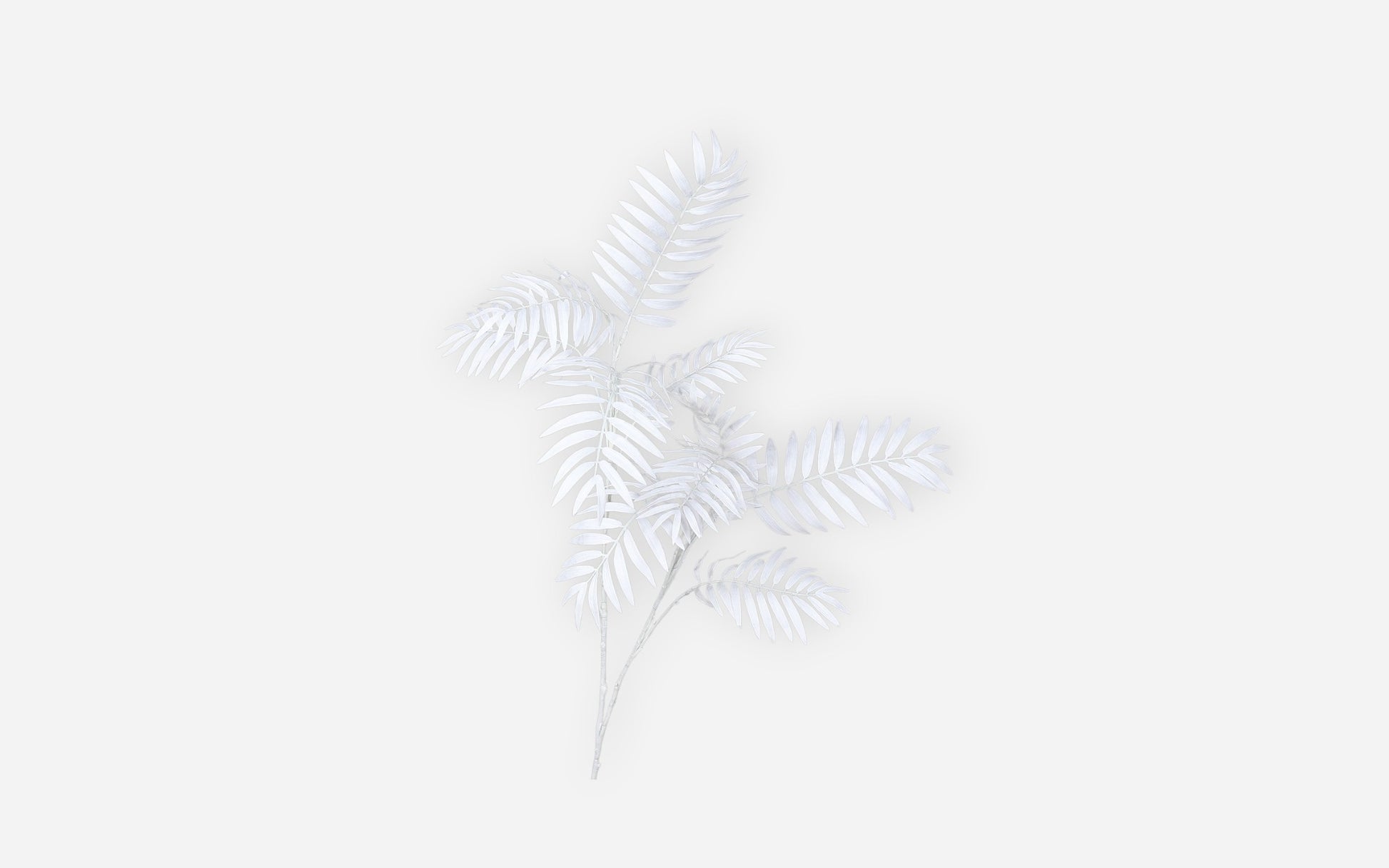 54680768 01 - Image