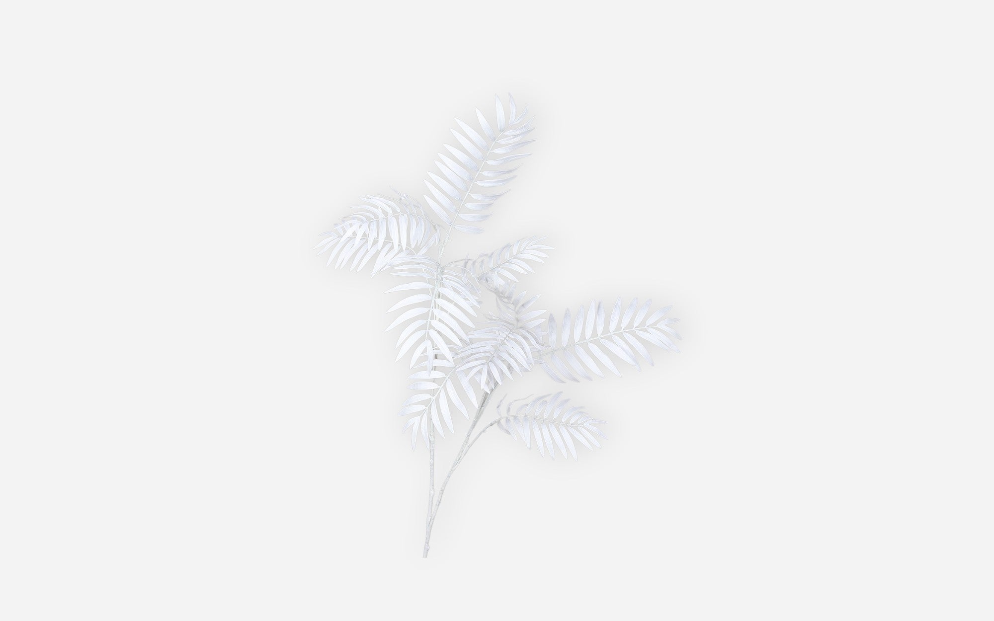 54680768 01 - Image
