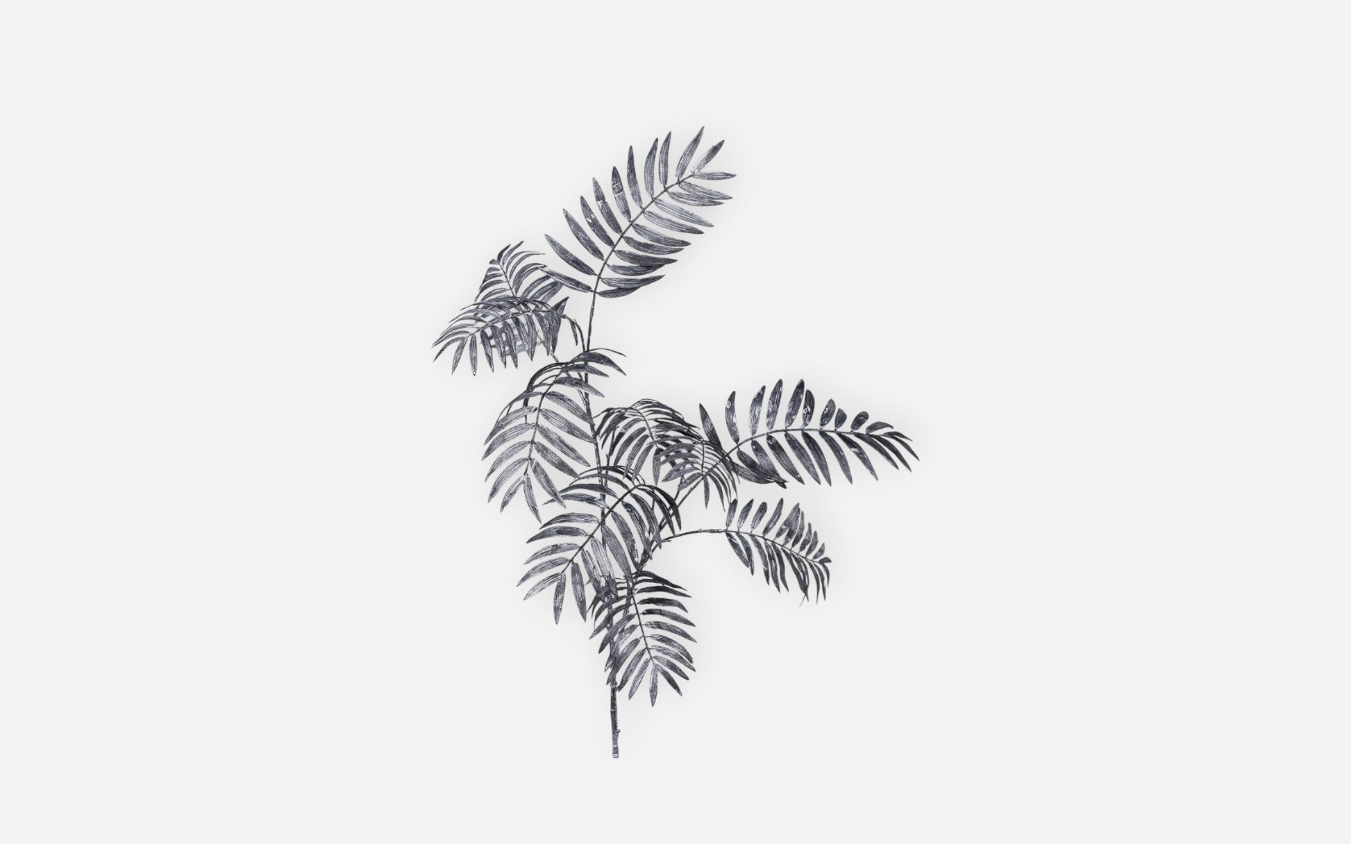 54680768 02 - Image