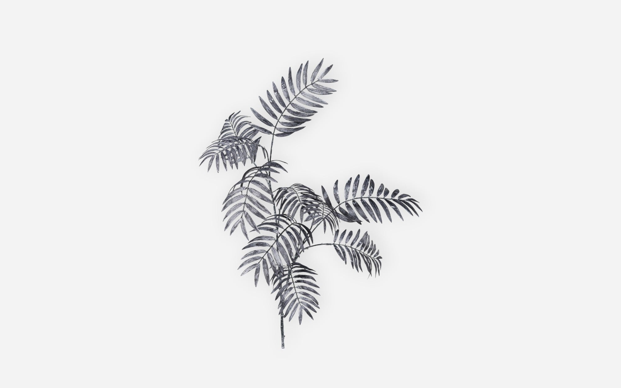 54680768 02 - Image