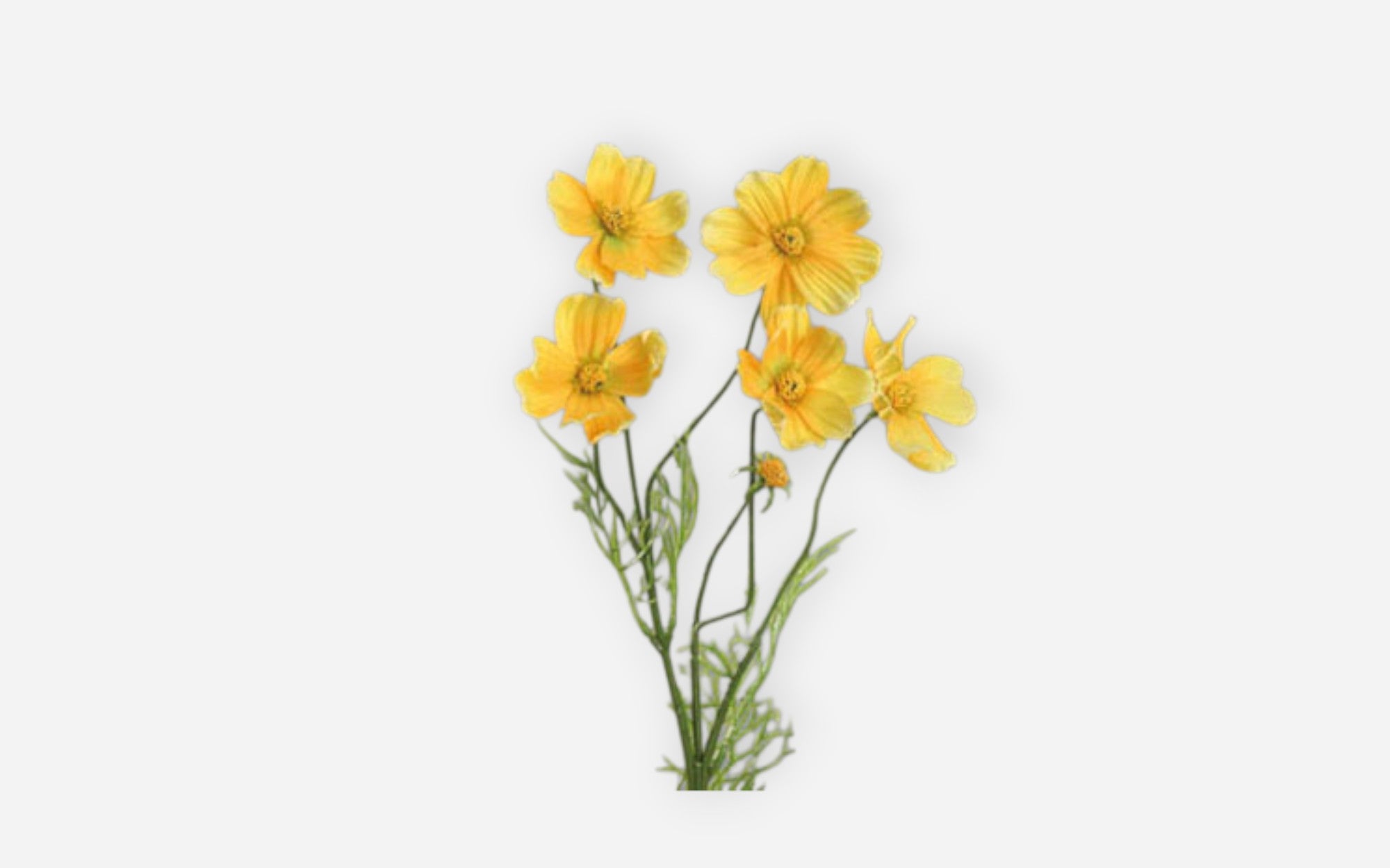 54680780 01 - Image