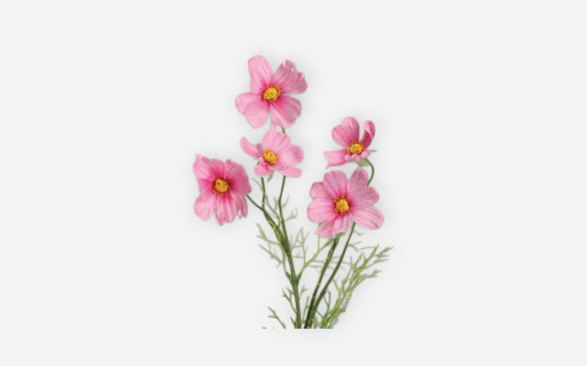 54680780 02 - Image
