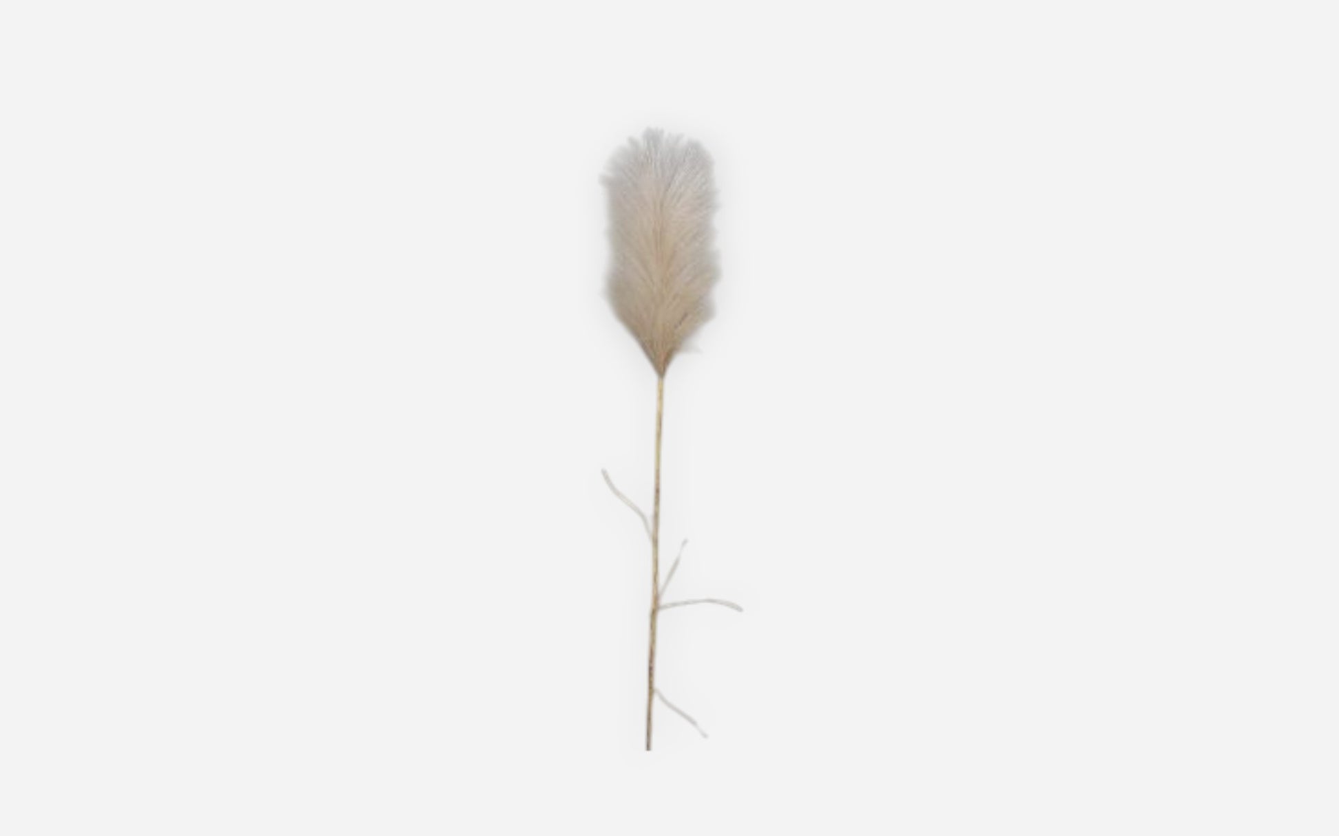 54680812 02 - Image