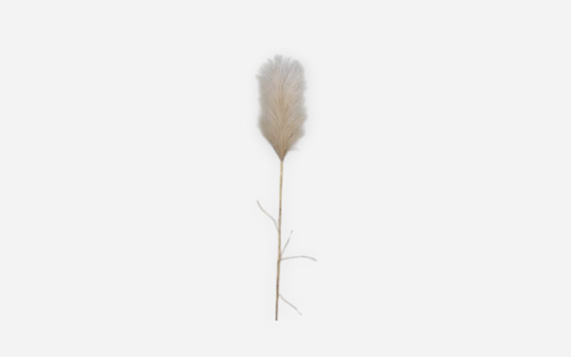54680812 02 - Image