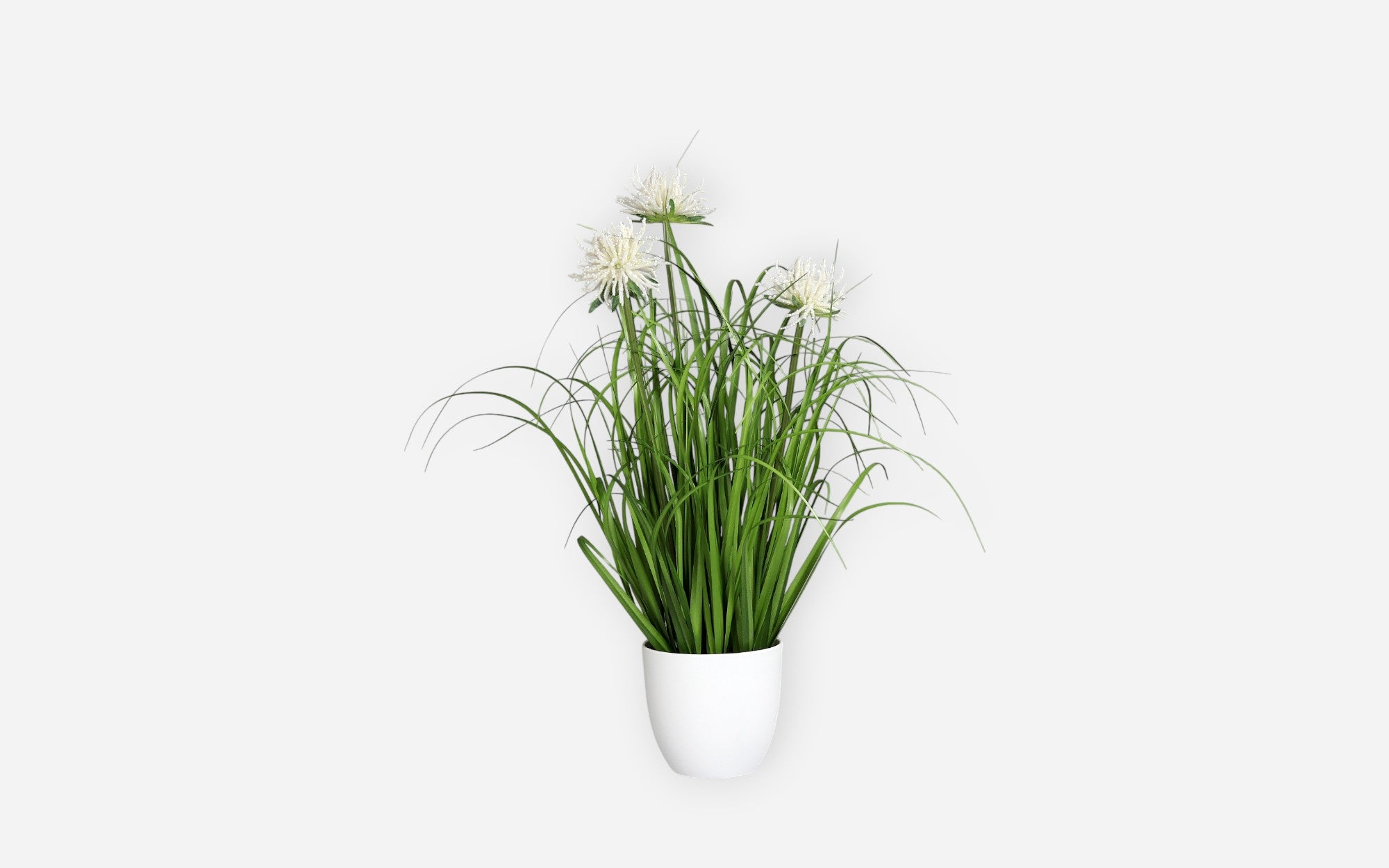 54680827 01 - Image