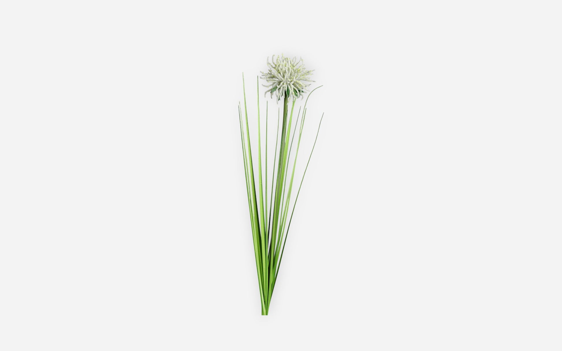 54680838 01 - Image