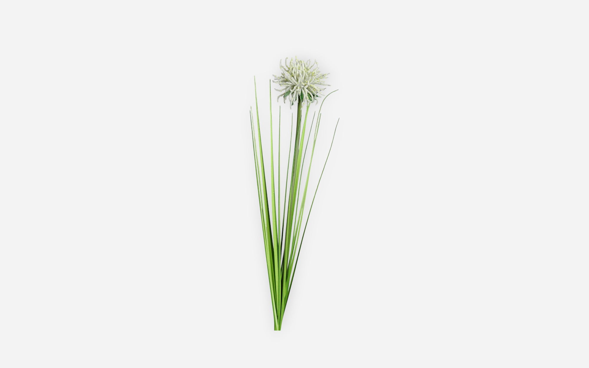 54680838 01 - Image
