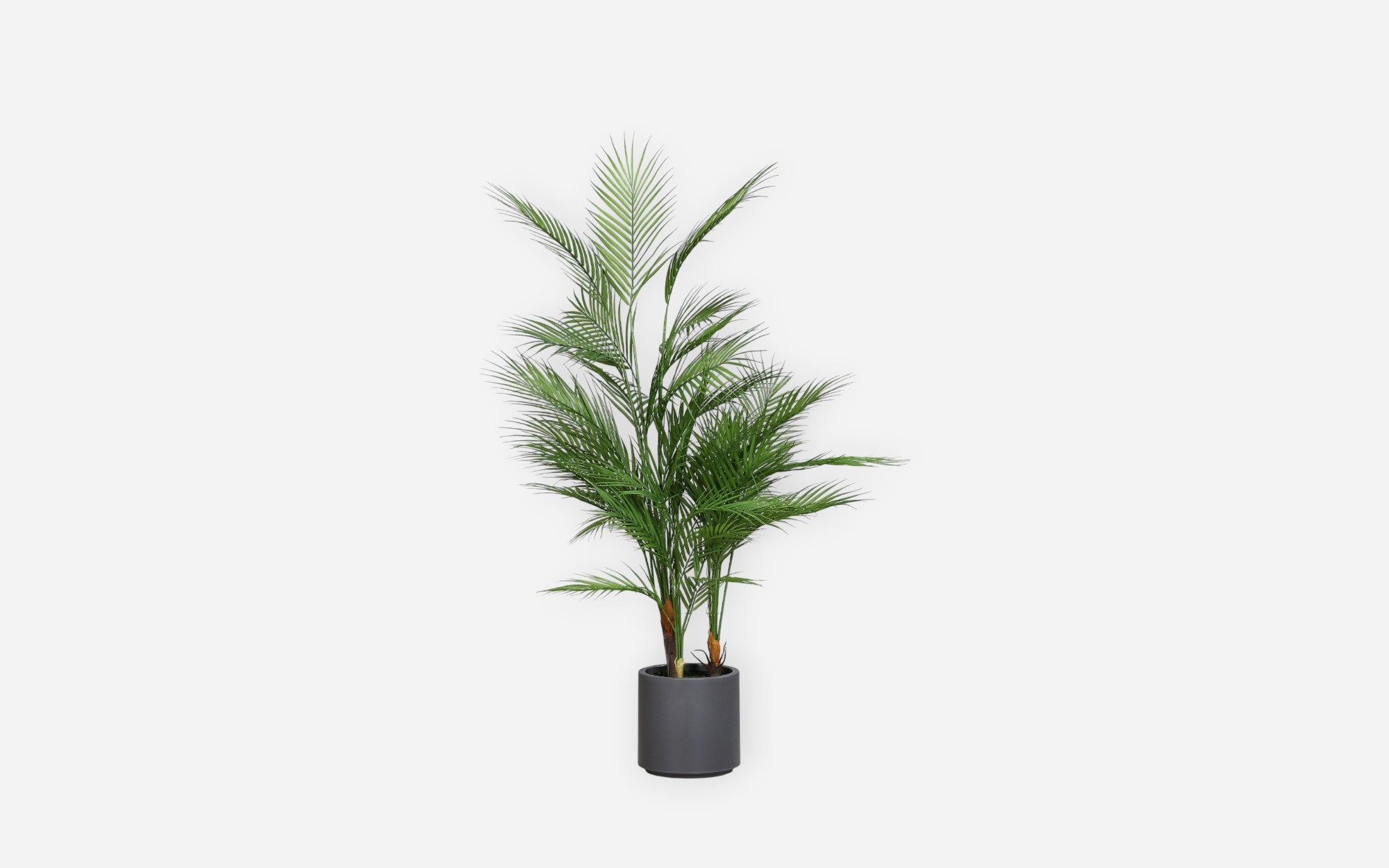 54680885 01 - Image