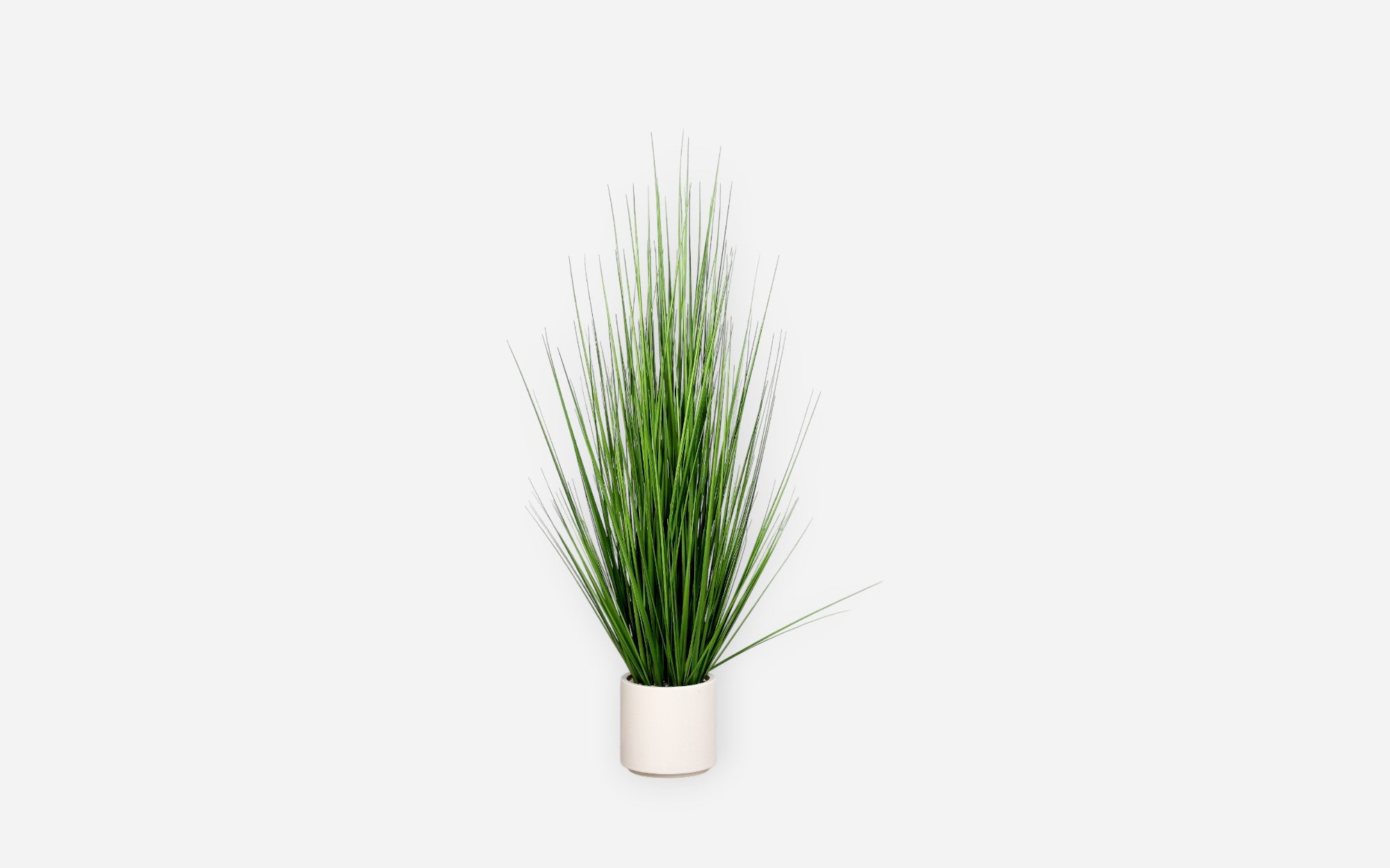 54680889 01 - Image