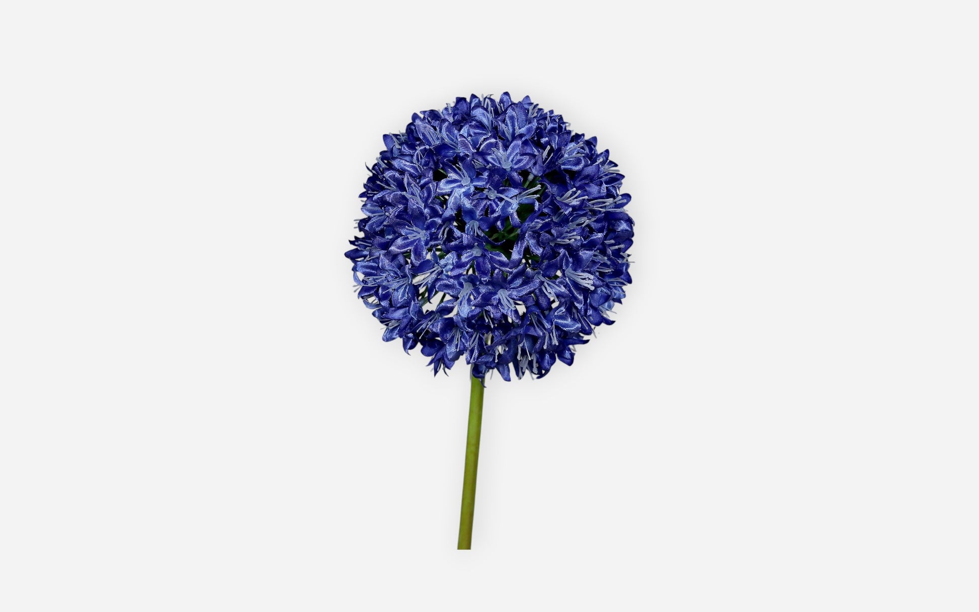 54680901 01 - Image