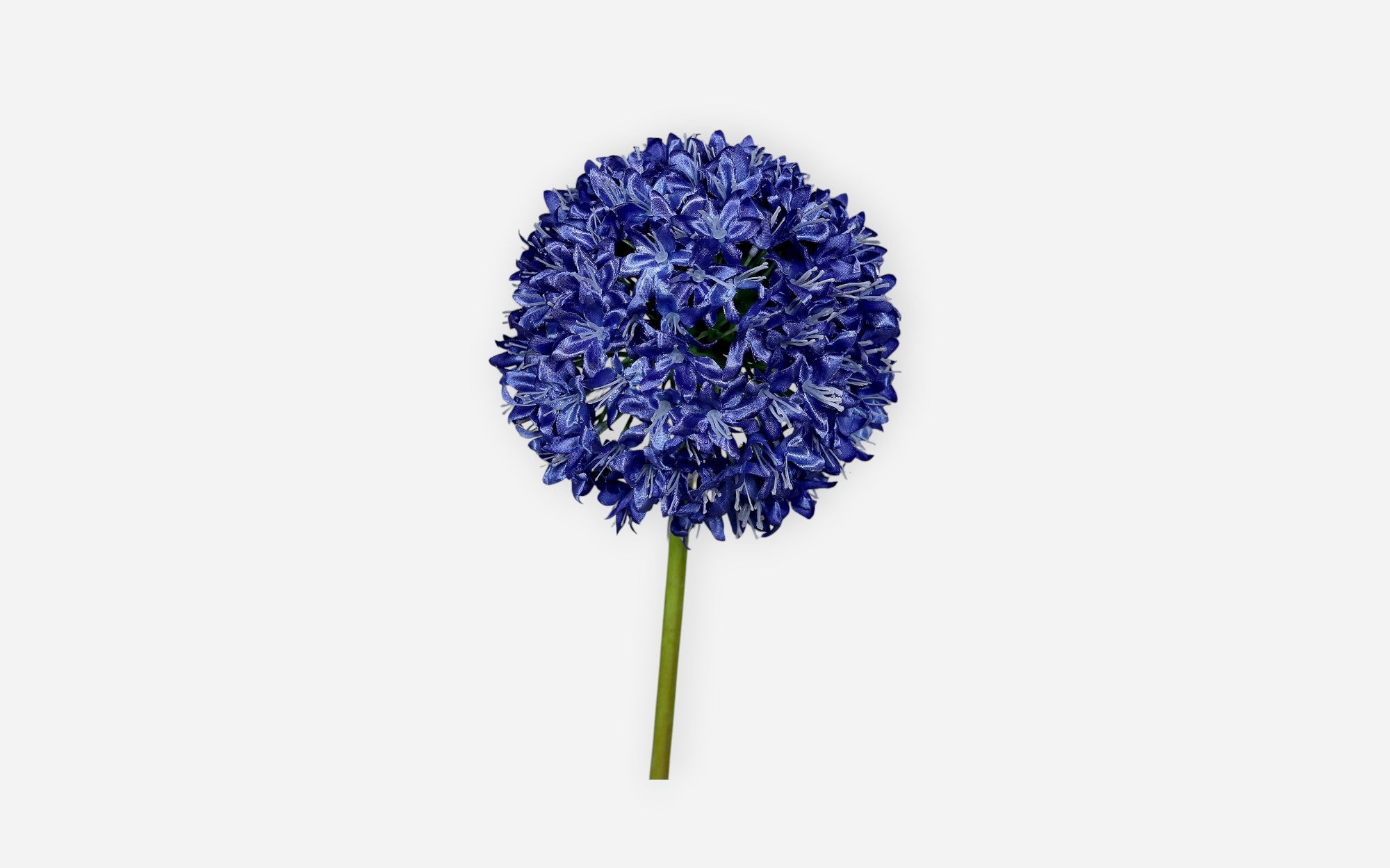 54680901 01 - Image