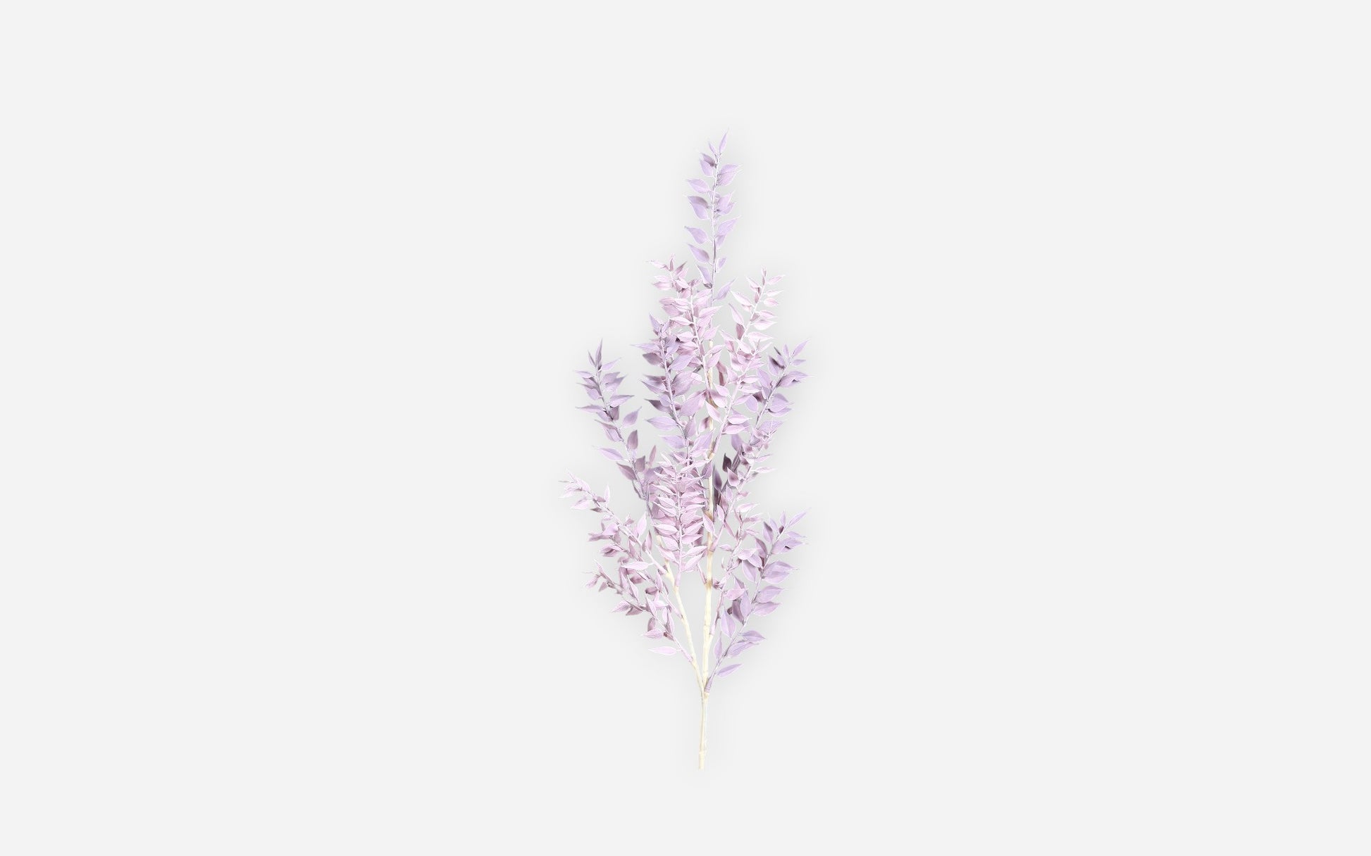54680975 02 - Image