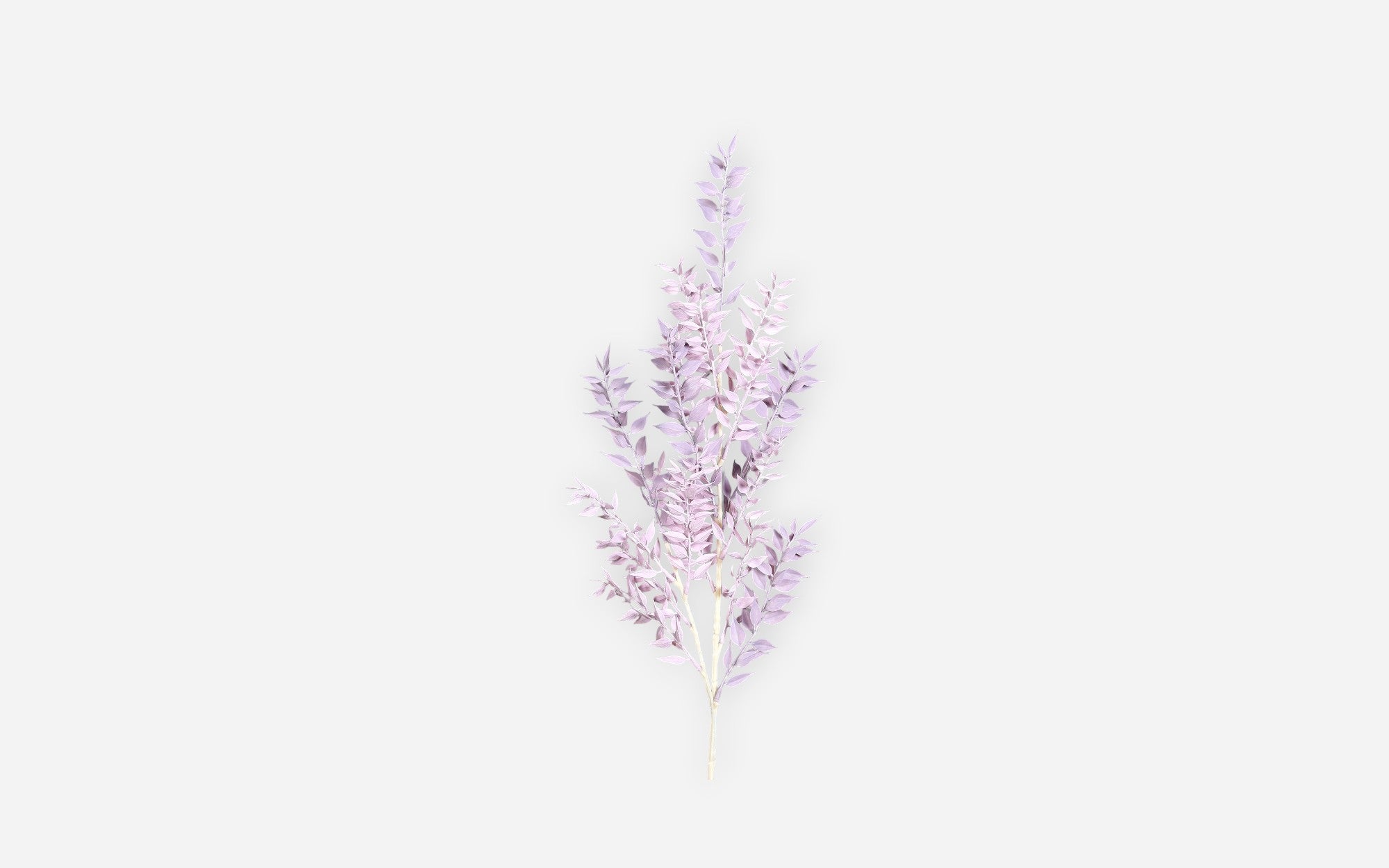 54680975 02 - Image
