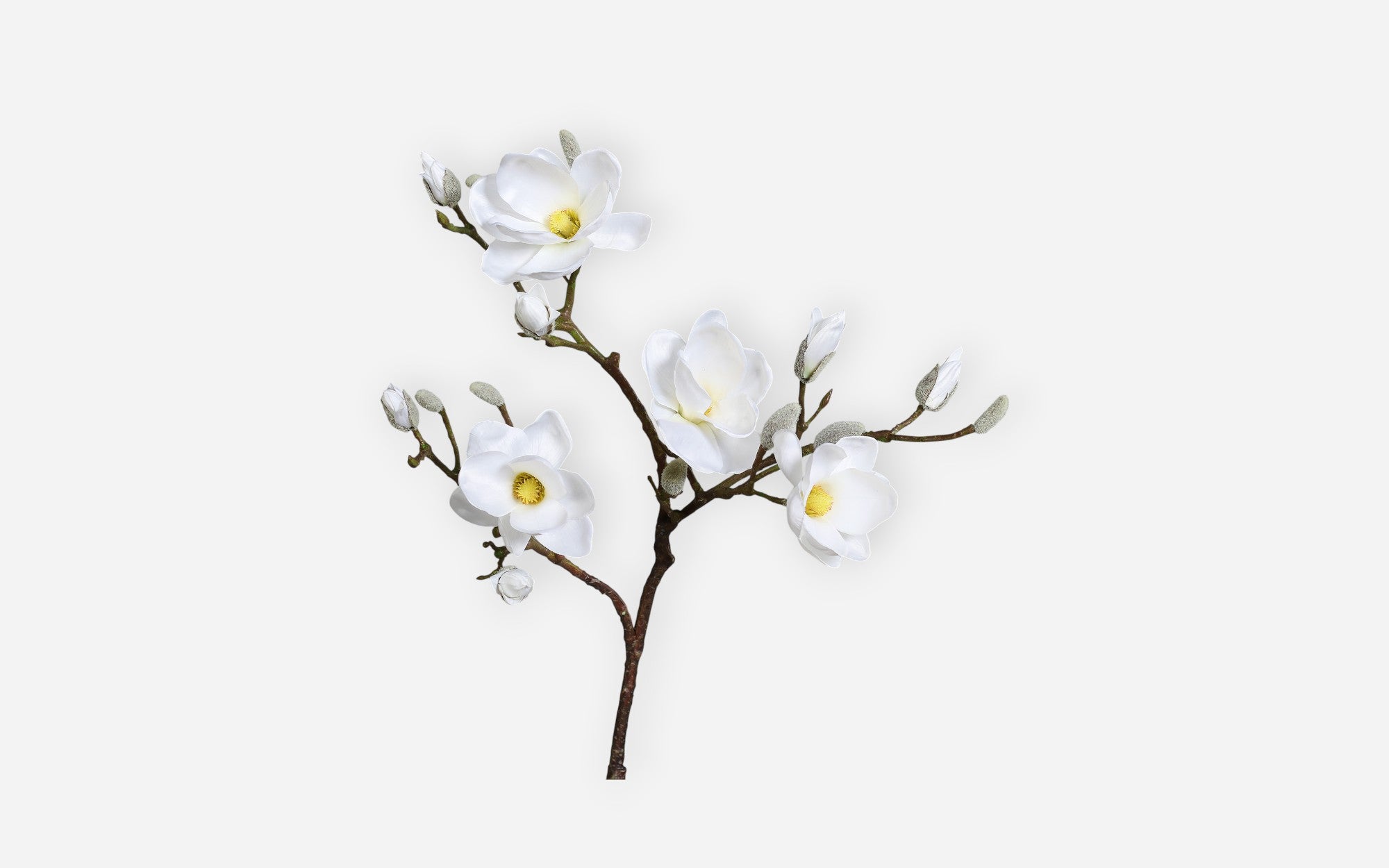 54680984 01 - Image