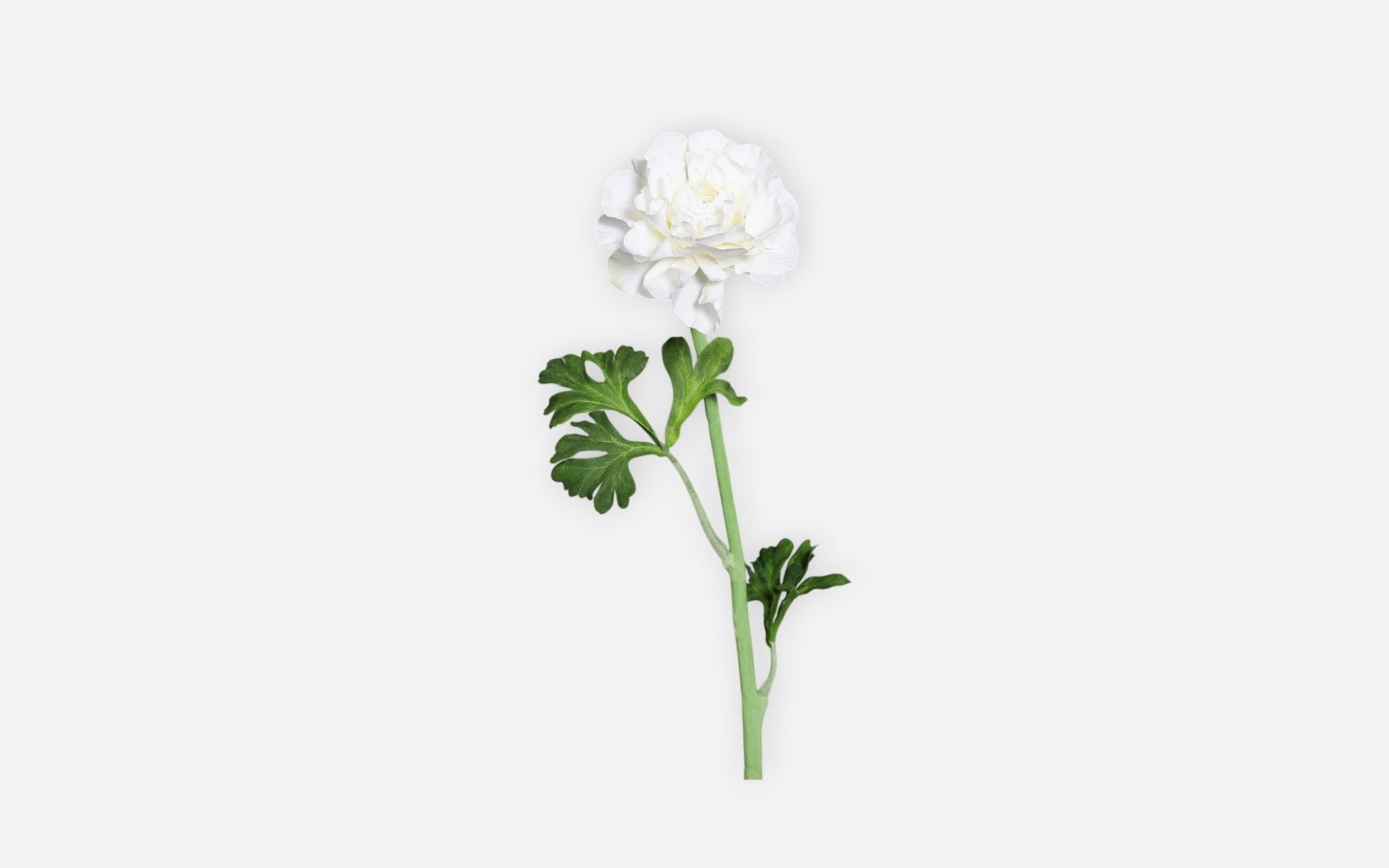 54680985 03 - Image