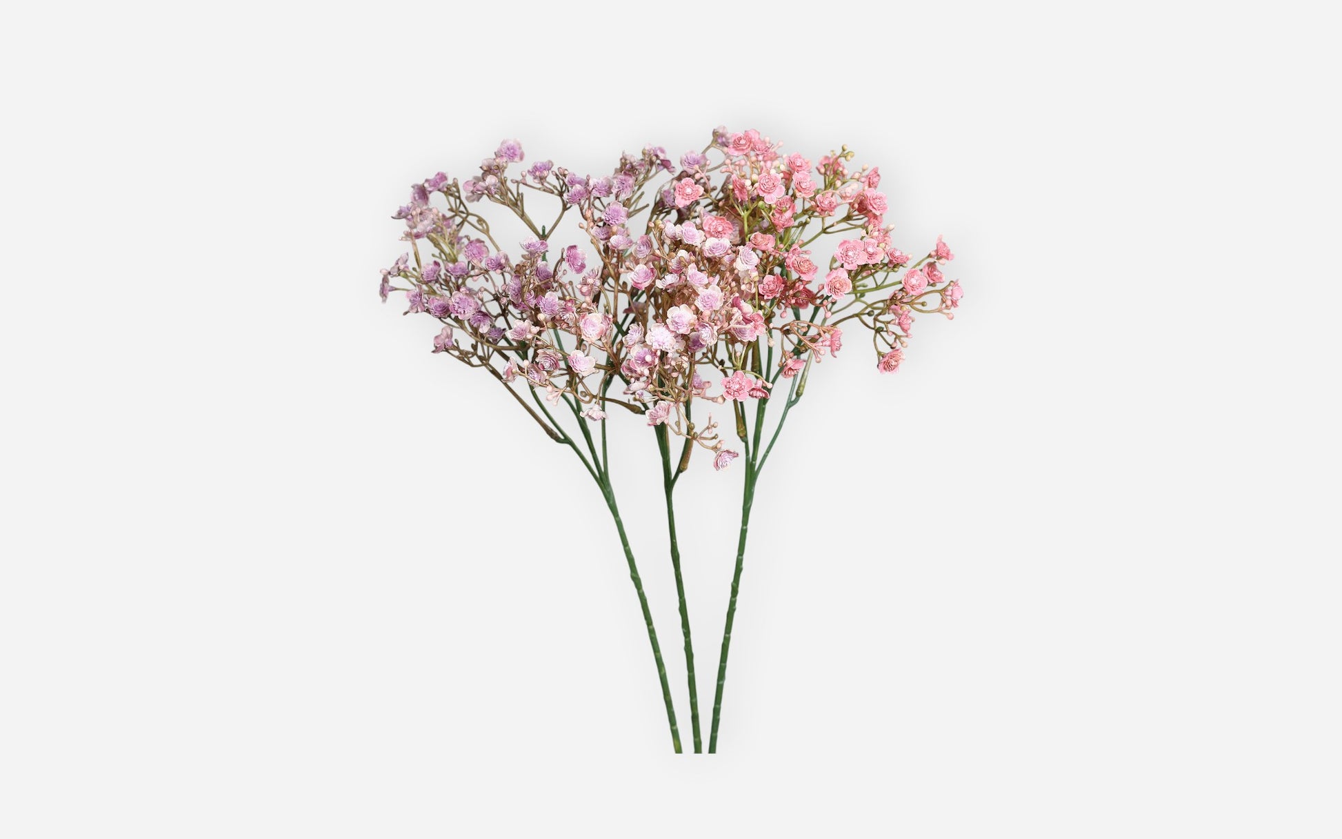 54680987 02 - Image