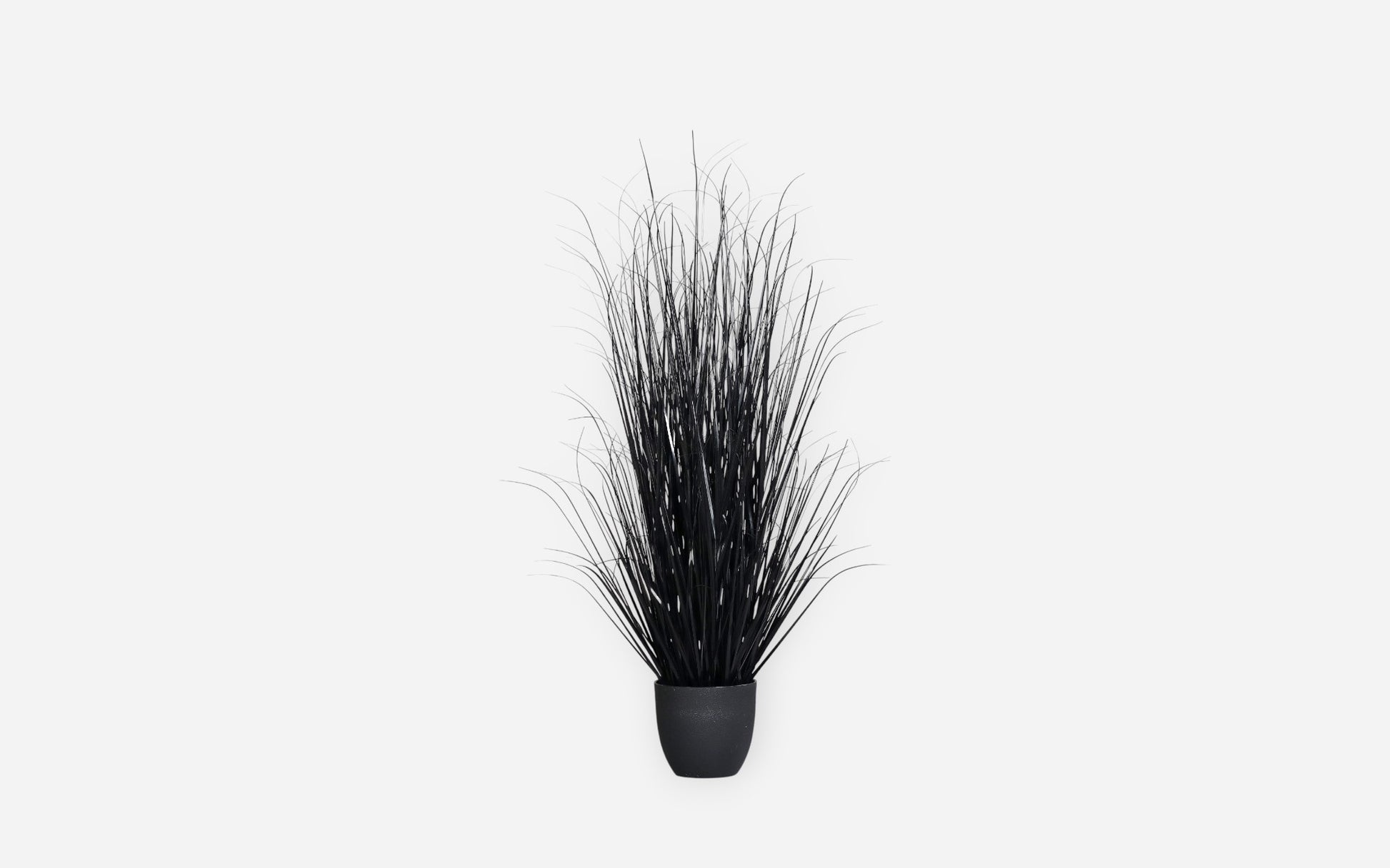 54681016 02 - Image