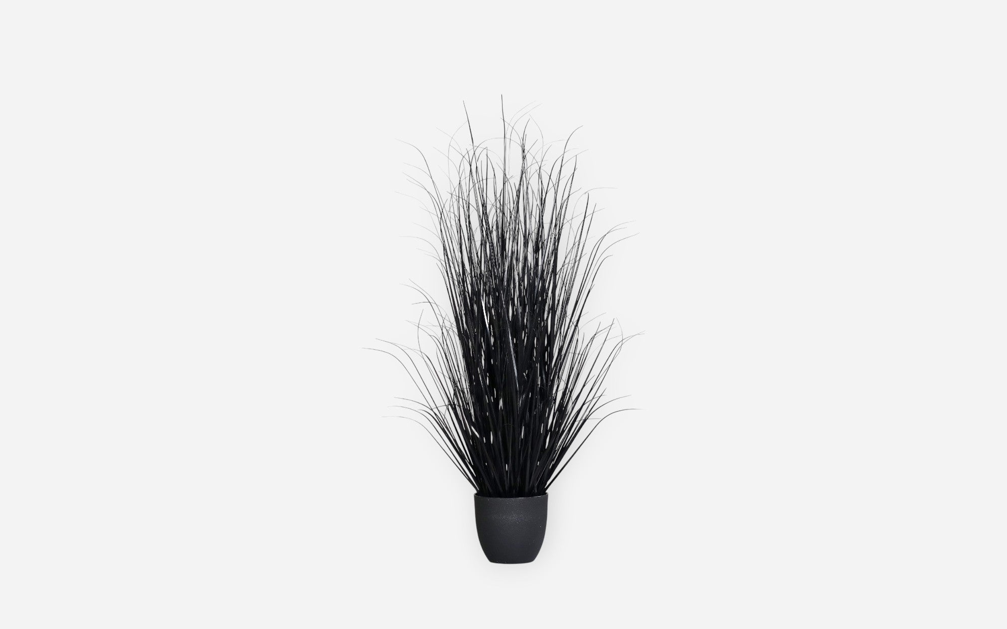 54681016 02 - Image
